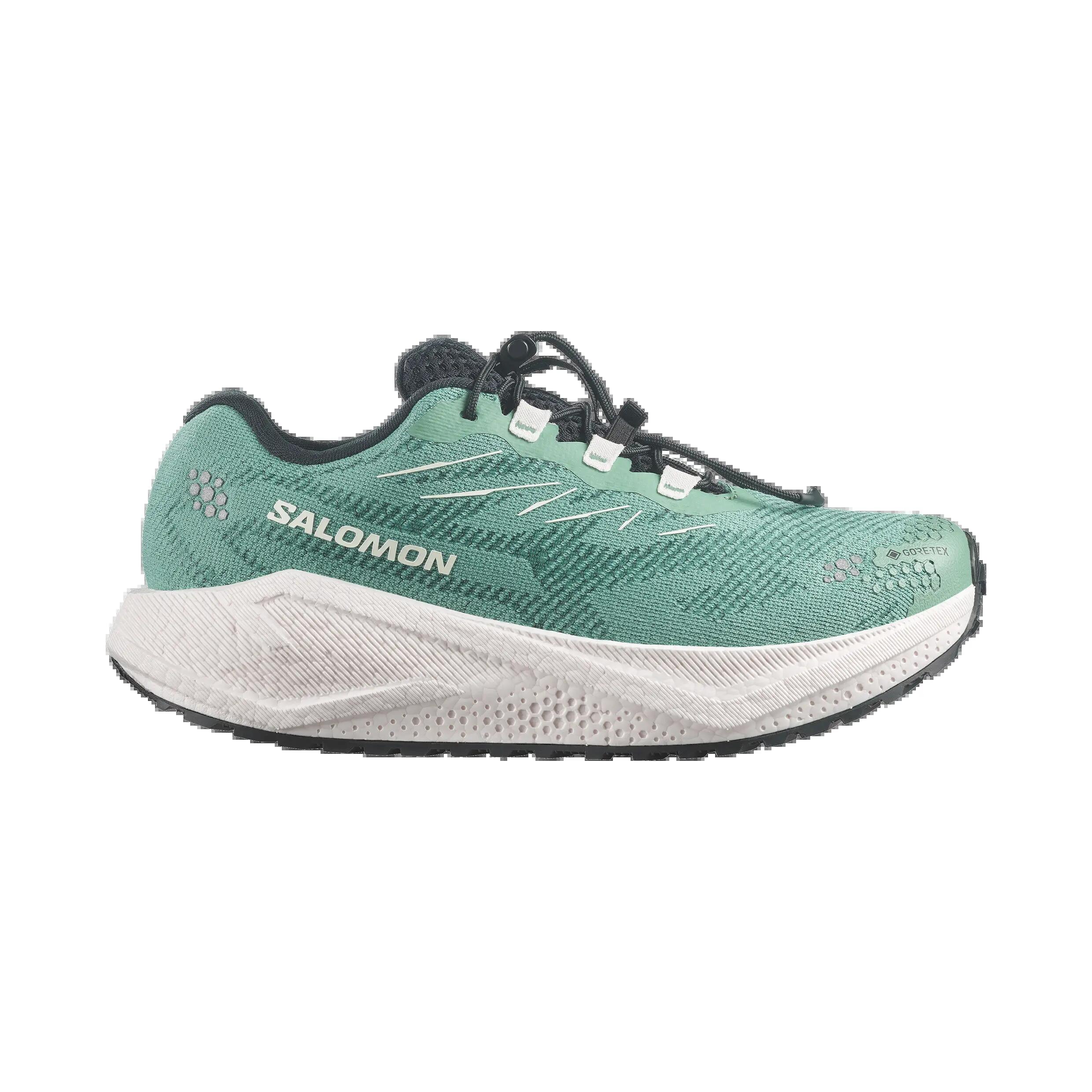 SALOMON picture