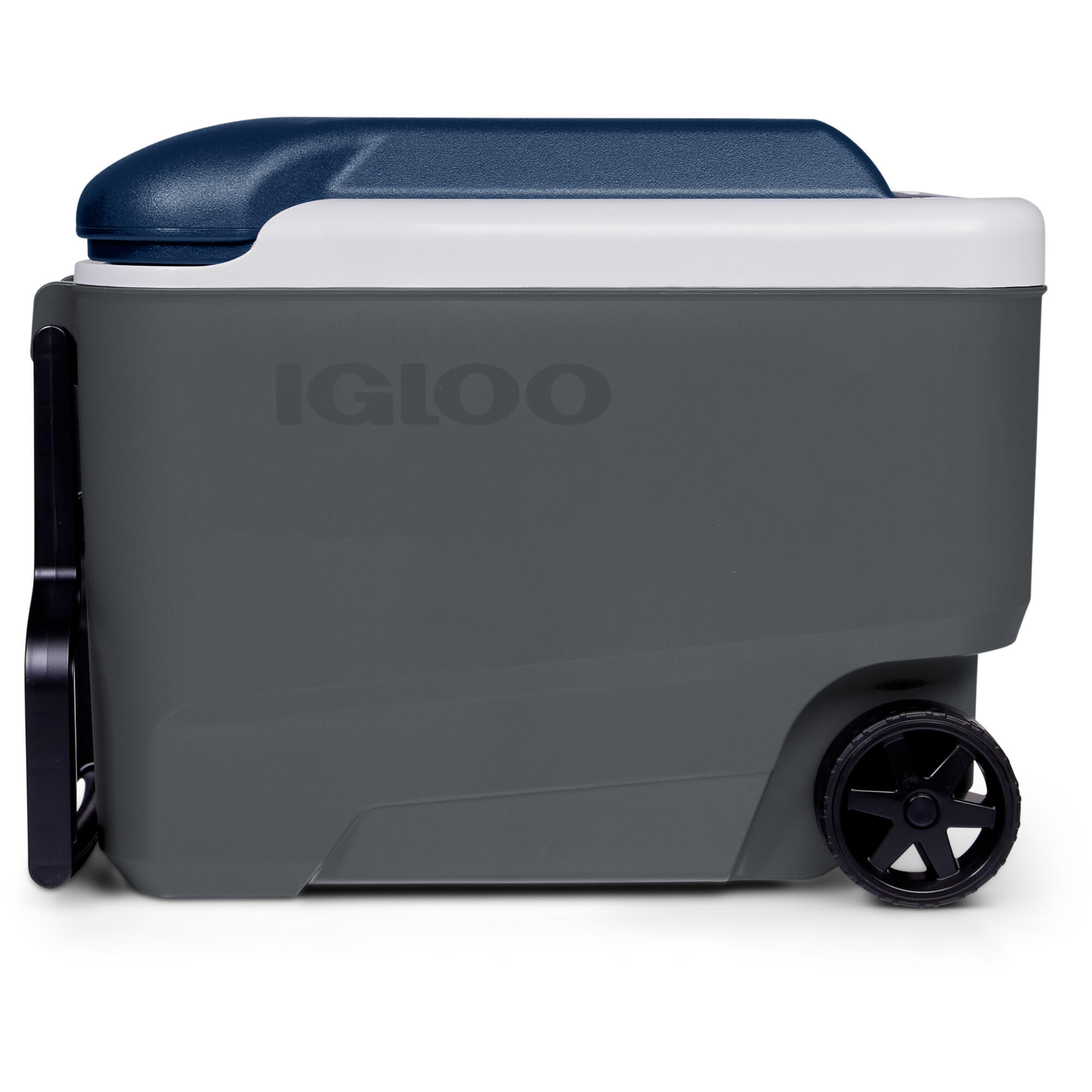 Lodówka (na kółkach) IGLOO MaxCold 40 2/3