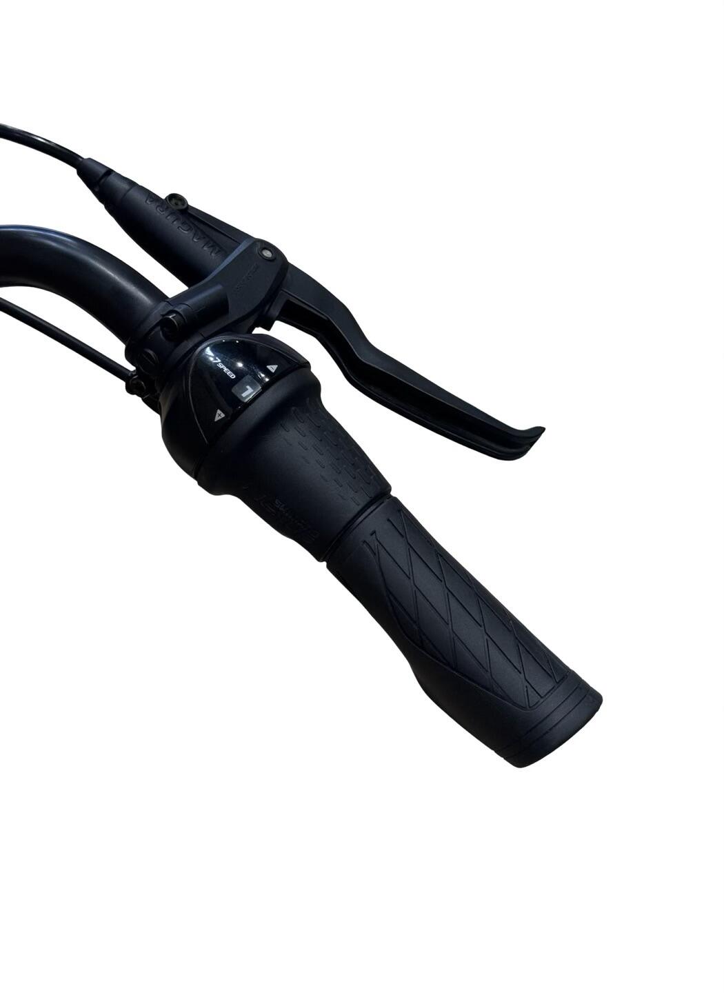 Ricondizionata - Bici elettriche Gazelle Arroyo C7+ HMB Elite - Stato eccellente 7/12
