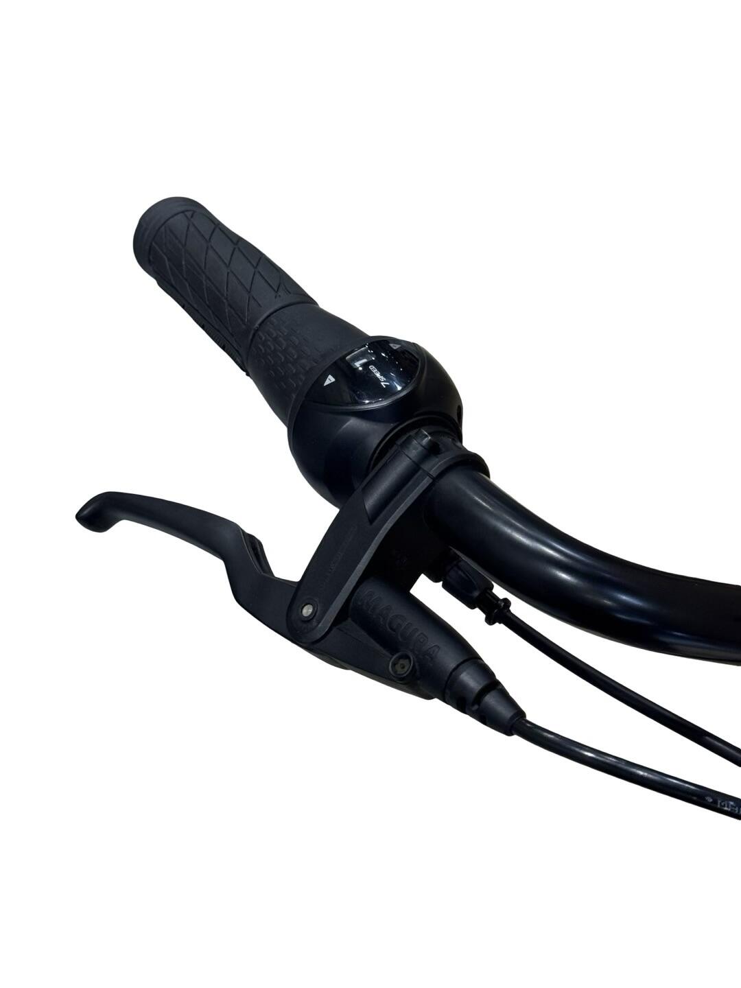 Ricondizionata - Bici elettriche Gazelle Arroyo C7+ HMB Elite - Stato eccellente 5/12