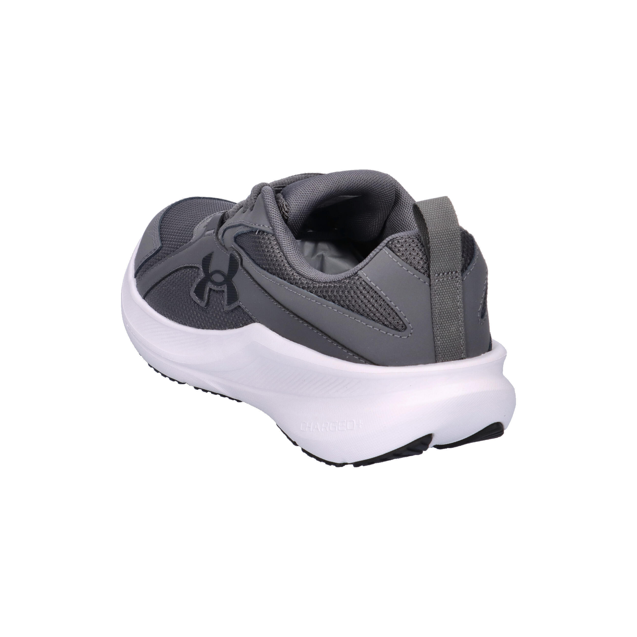 Under Armour Herren Laufschuhe Charged+ Assert 11 6006723 11/14