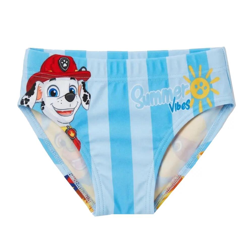 PAW PATROL picture