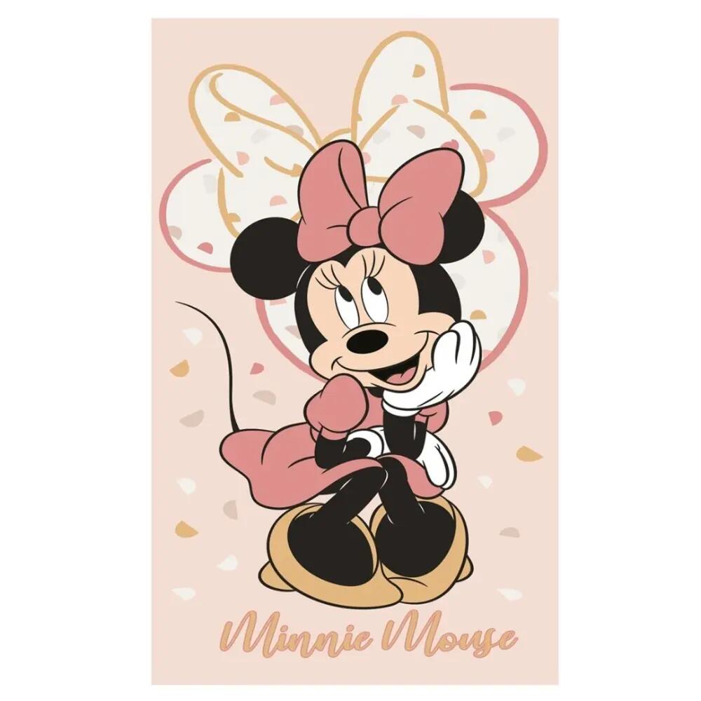 MINI MOUSE picture
