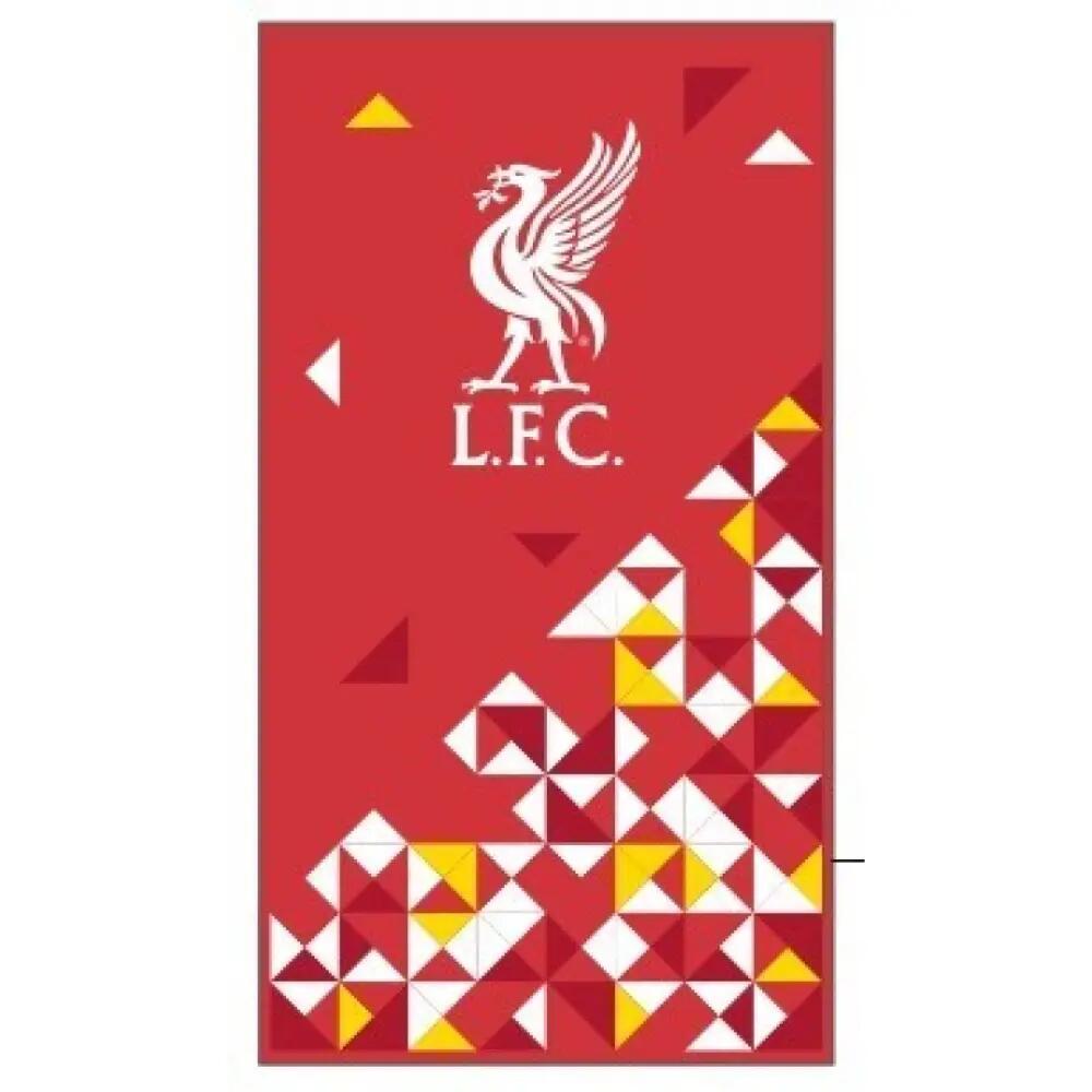 LIVERPOOL FC picture