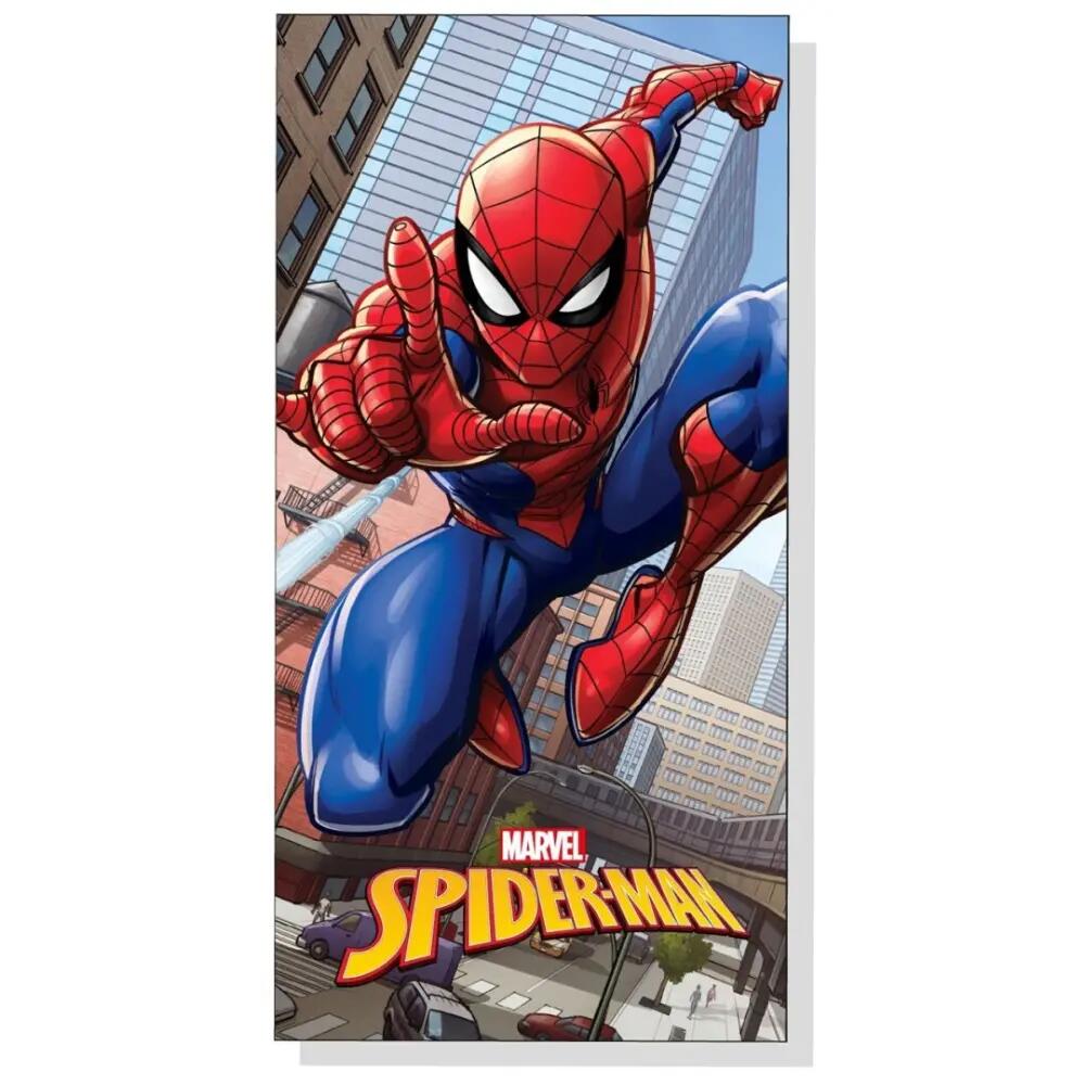 SPIDERMAN picture