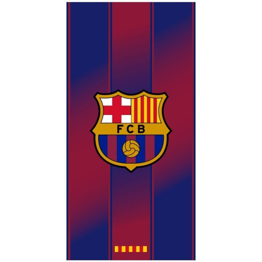 FC BARCELONA picture