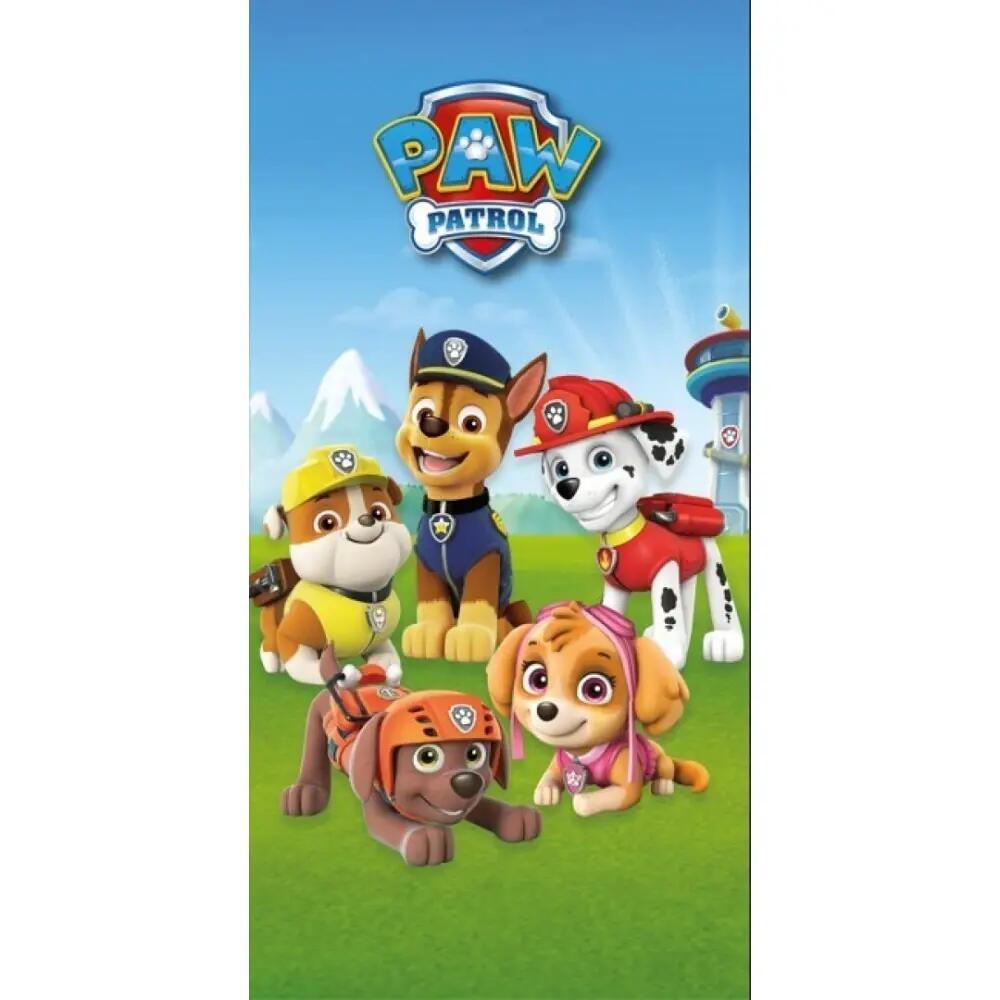 PAW PATROL picture