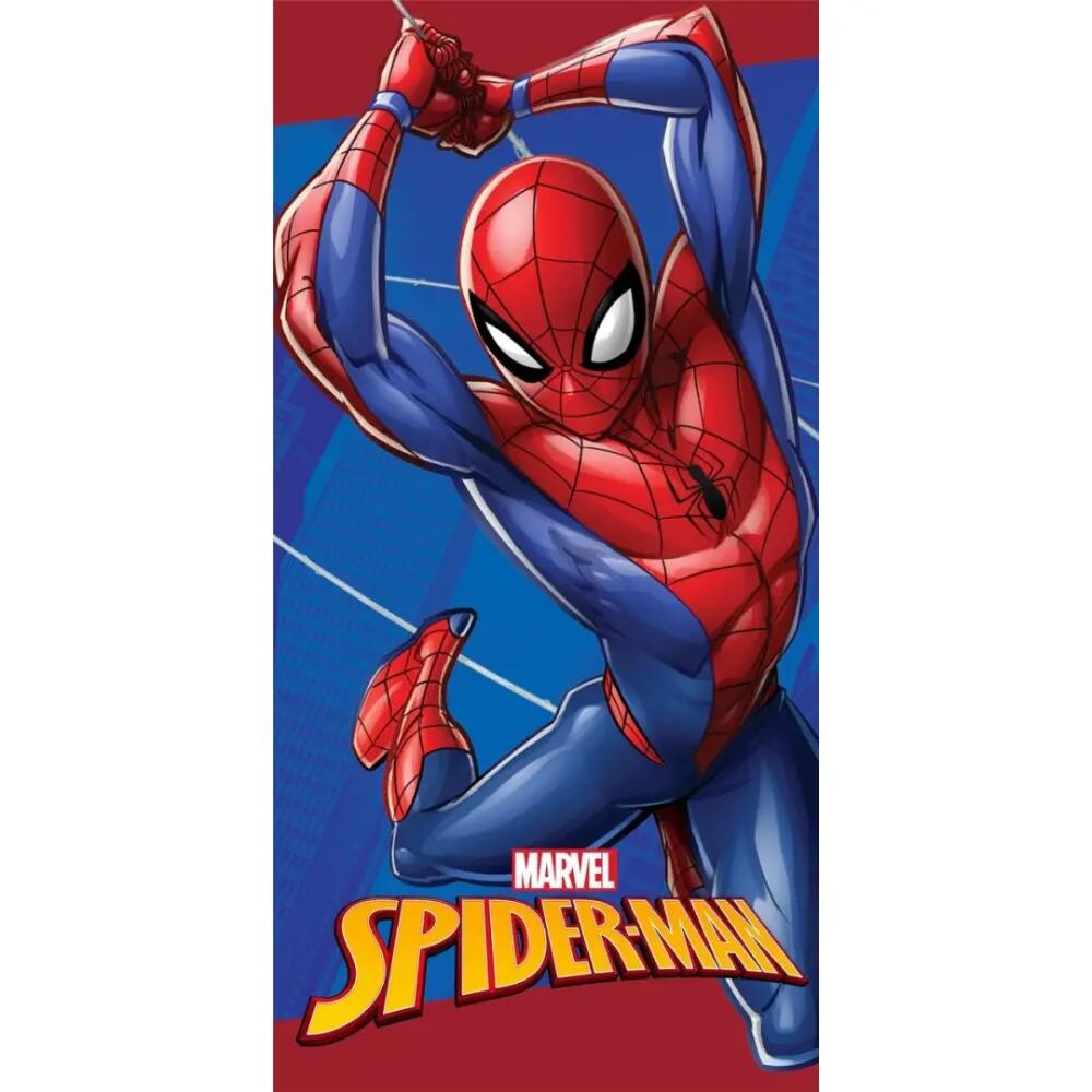 SPIDERMAN picture