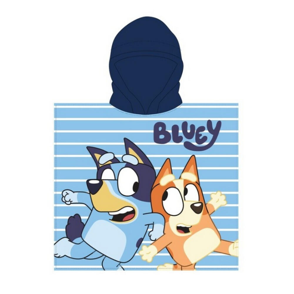 BLUEY picture