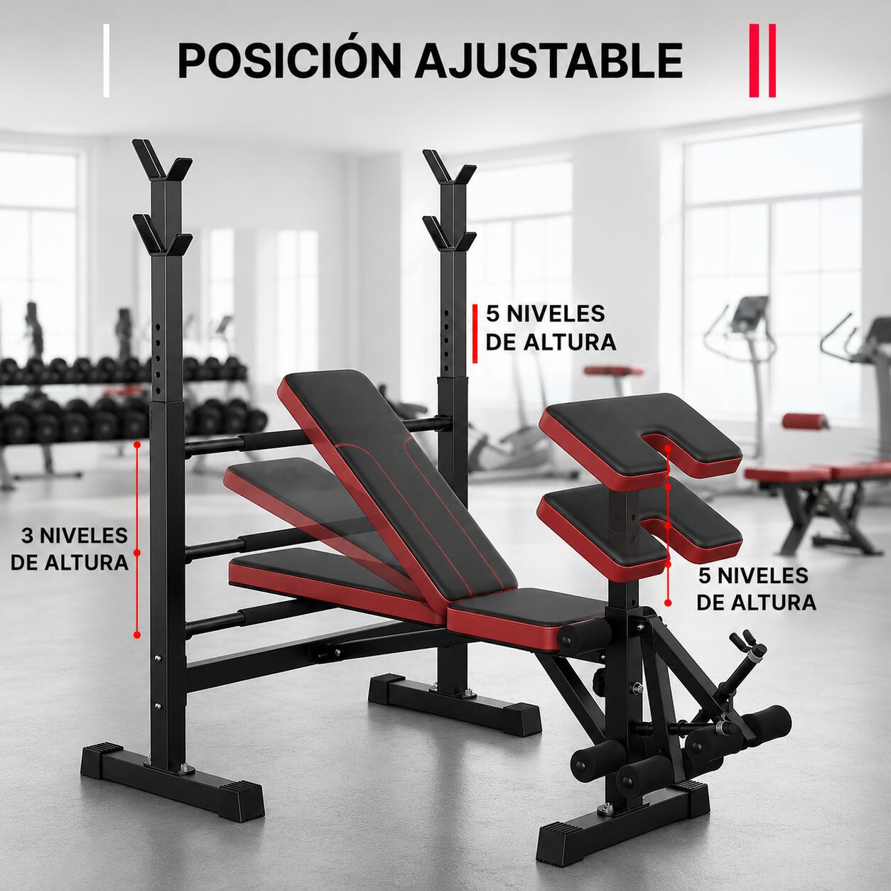 Banco Musculación Plegable con Soporte de Pesas Alta Carga Fitness Musculaciión 3/6
