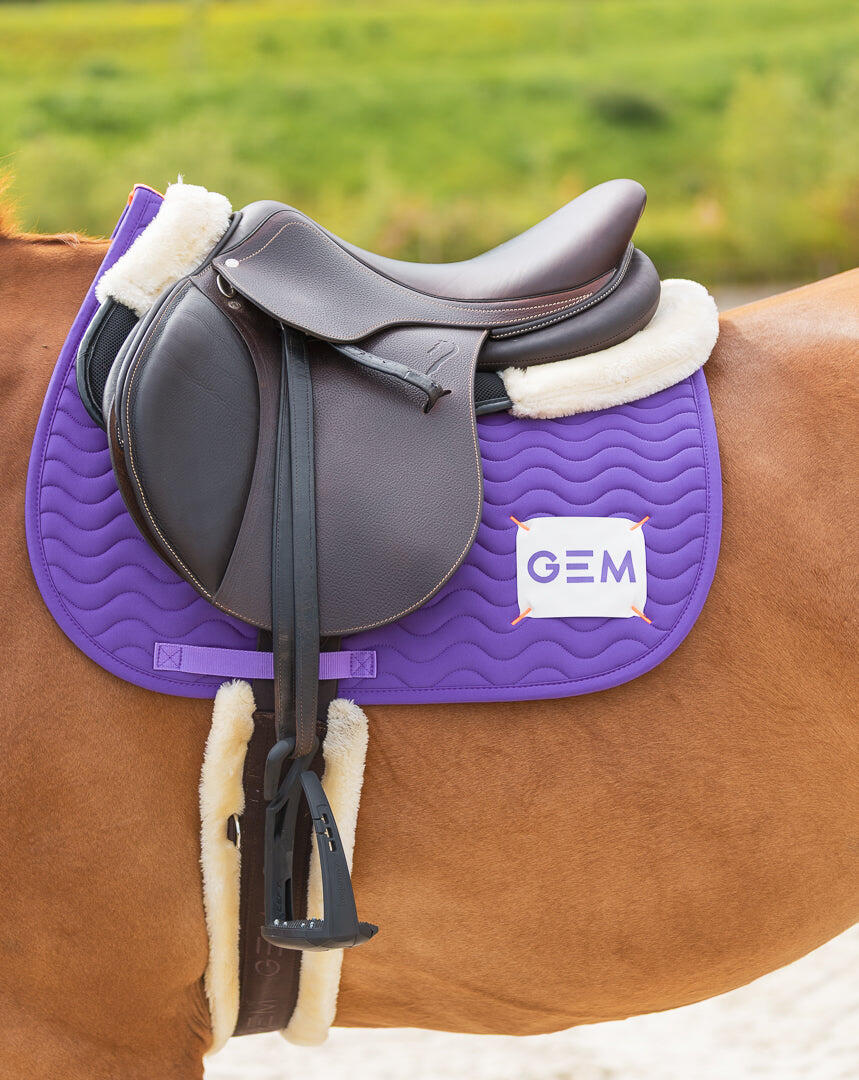 GEM EQUITATION picture