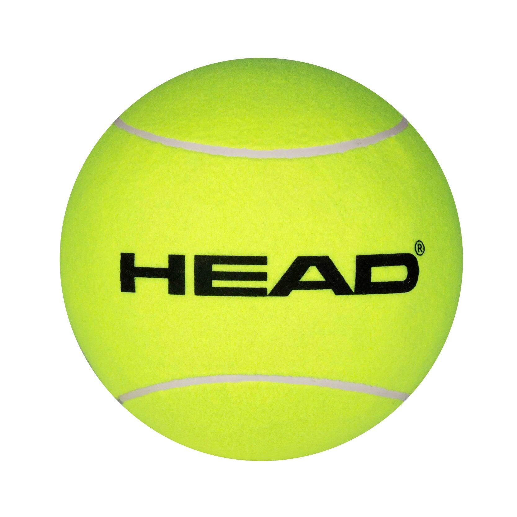 HEAD picture