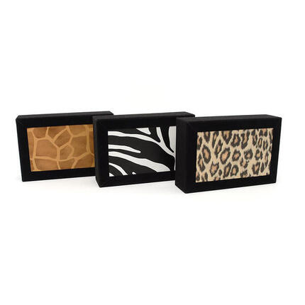 Trainingsmaterial Mister Babache Cigarbox