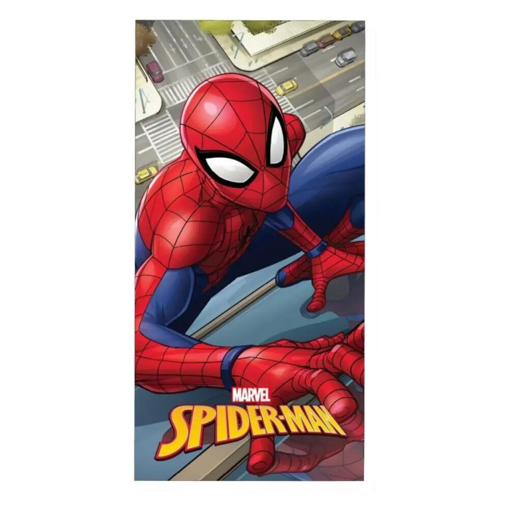 SPIDERMAN picture