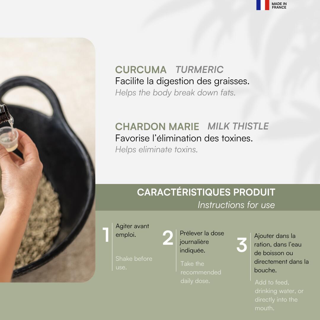 Focus Digest - Confort digestif 3/6
