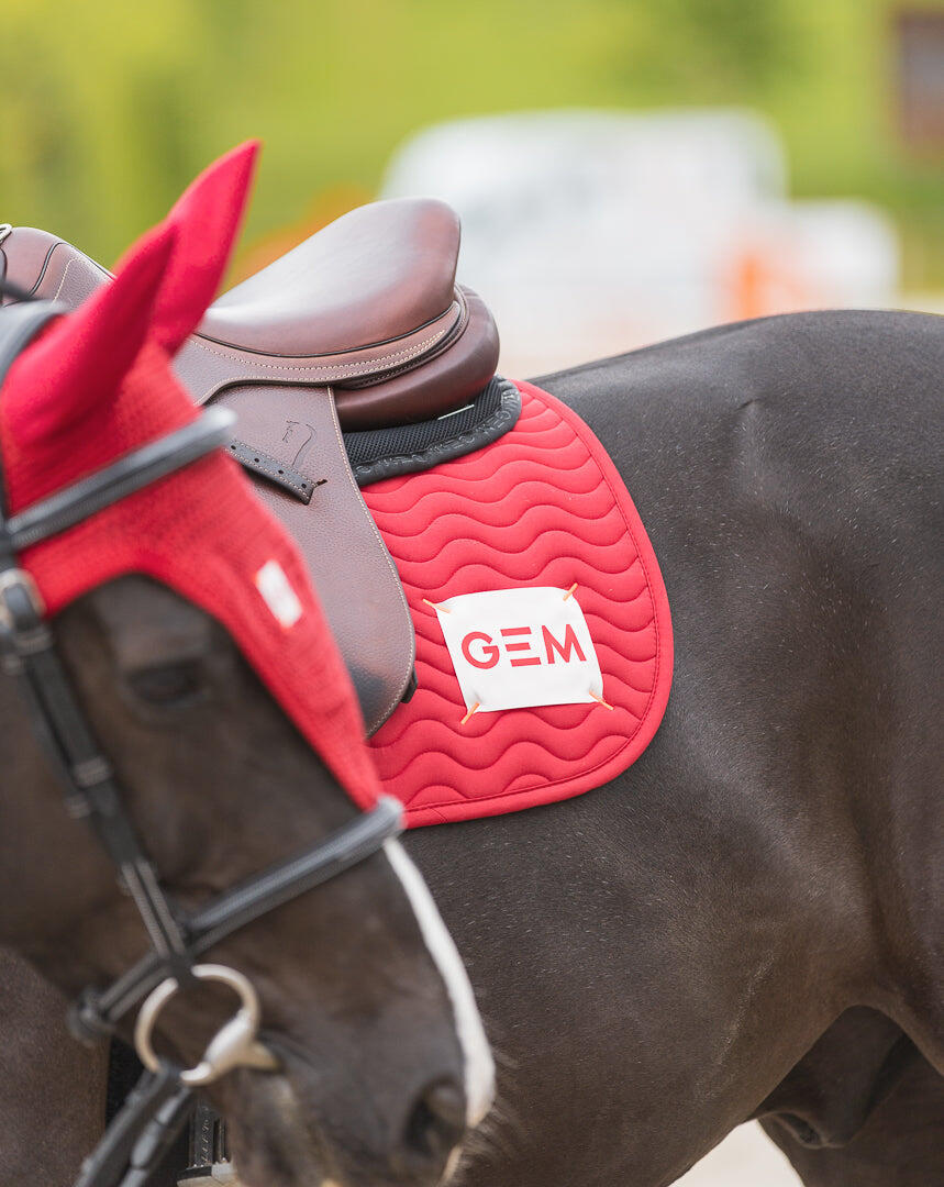 GEM EQUITATION picture