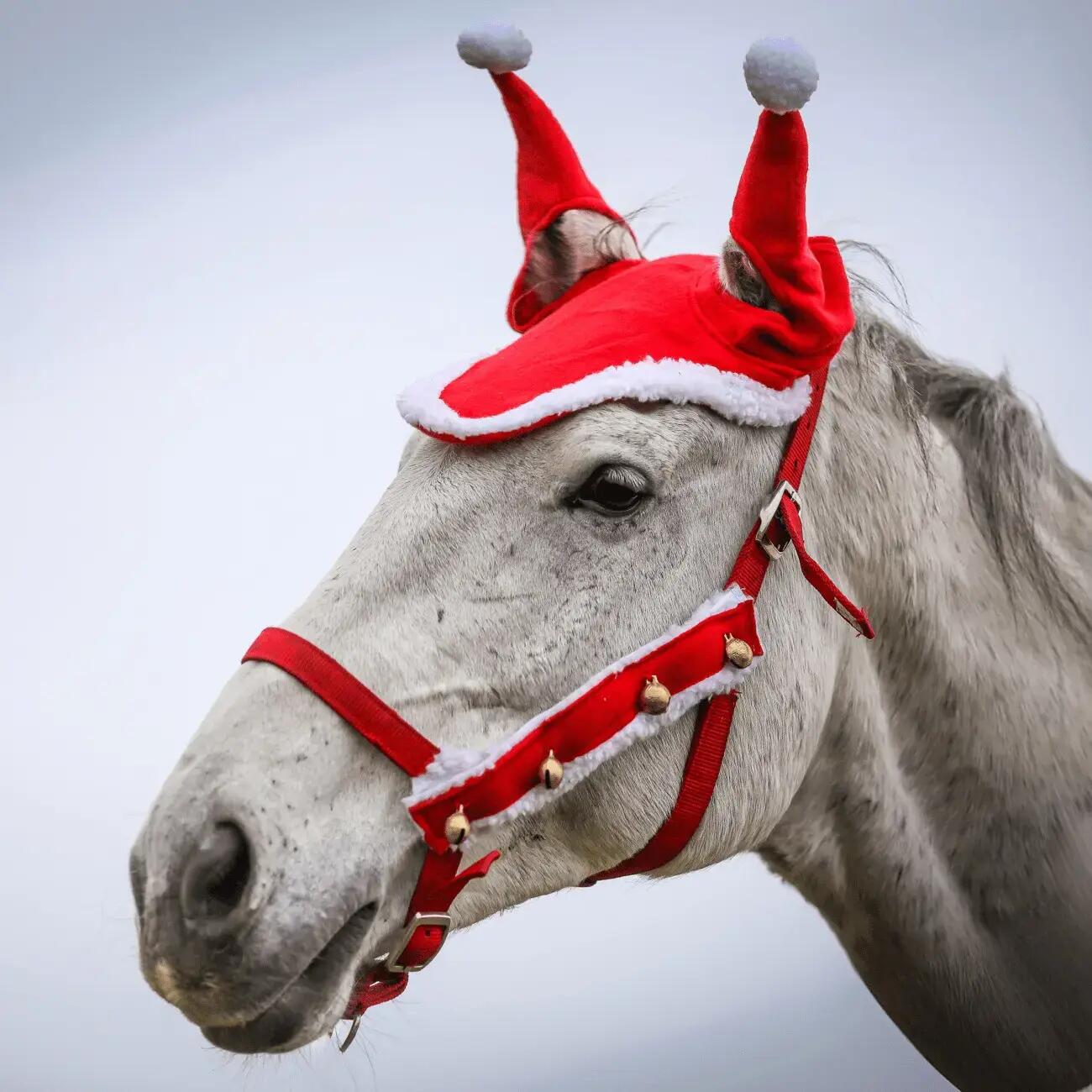 Clochettes pour cheval York (x2) 3/4