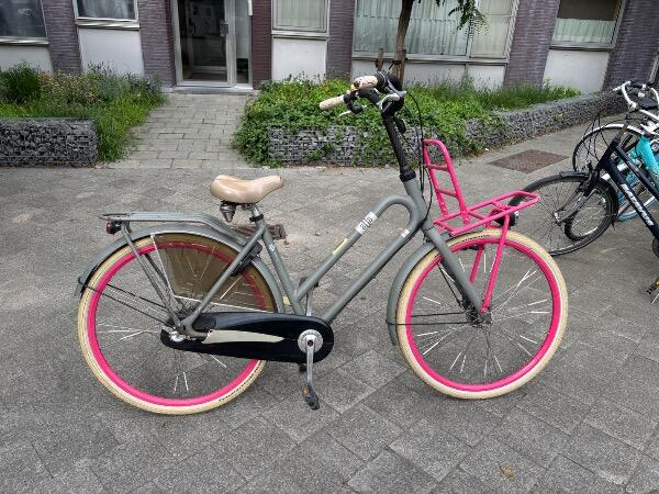 BATAVUS picture