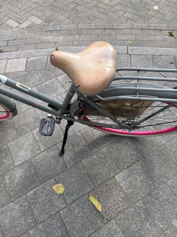 Tussen Particulieren - Batavus BUB Transportfiets (Grijs/Roze) 7/7