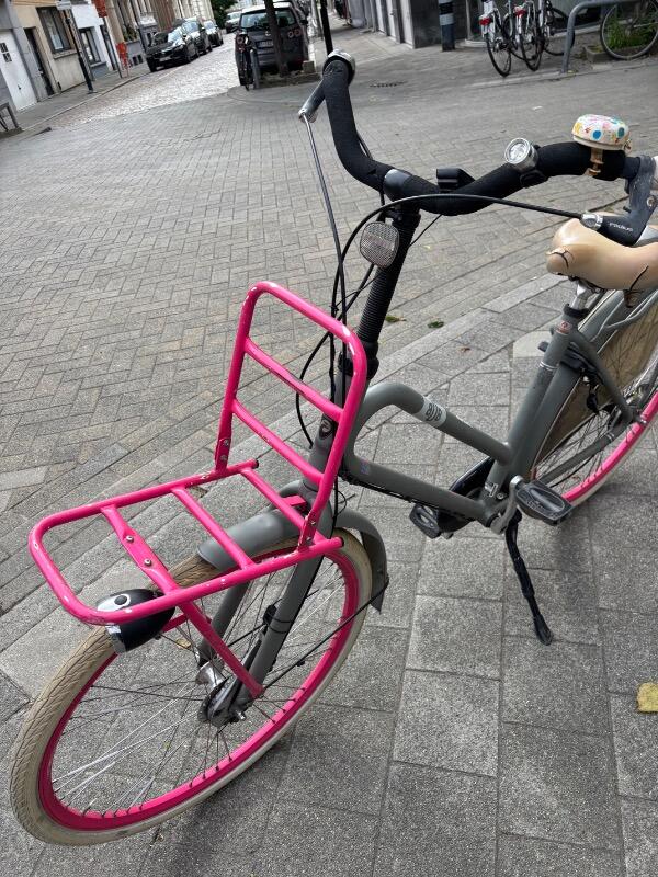 Tussen Particulieren - Batavus BUB Transportfiets (Grijs/Roze) 6/7