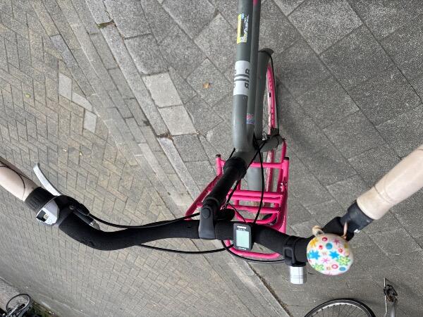 Tussen Particulieren - Batavus BUB Transportfiets (Grijs/Roze) 5/7