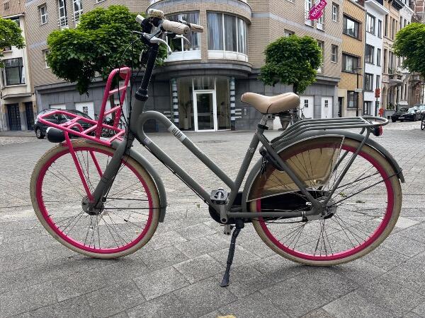 Tussen Particulieren - Batavus BUB Transportfiets (Grijs/Roze) 2/7