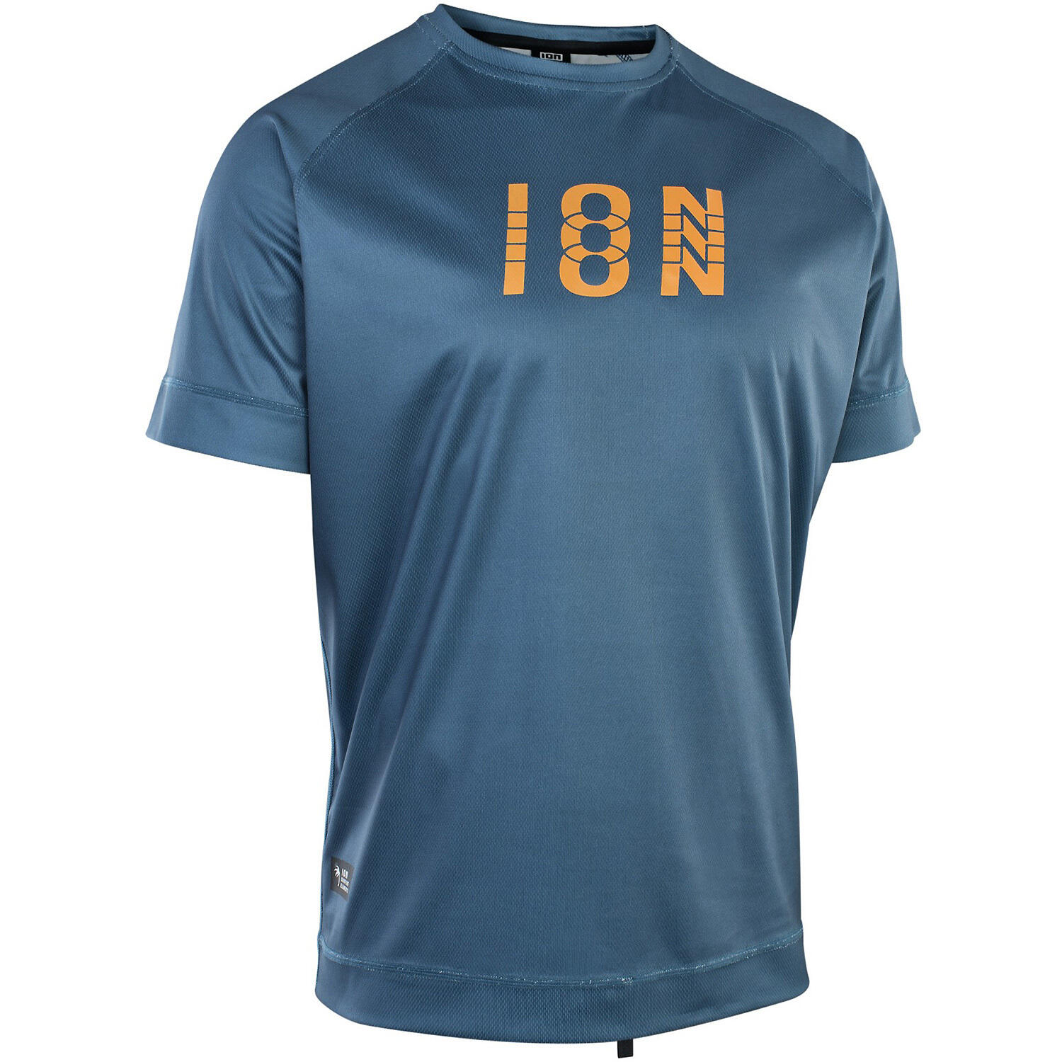 ION picture