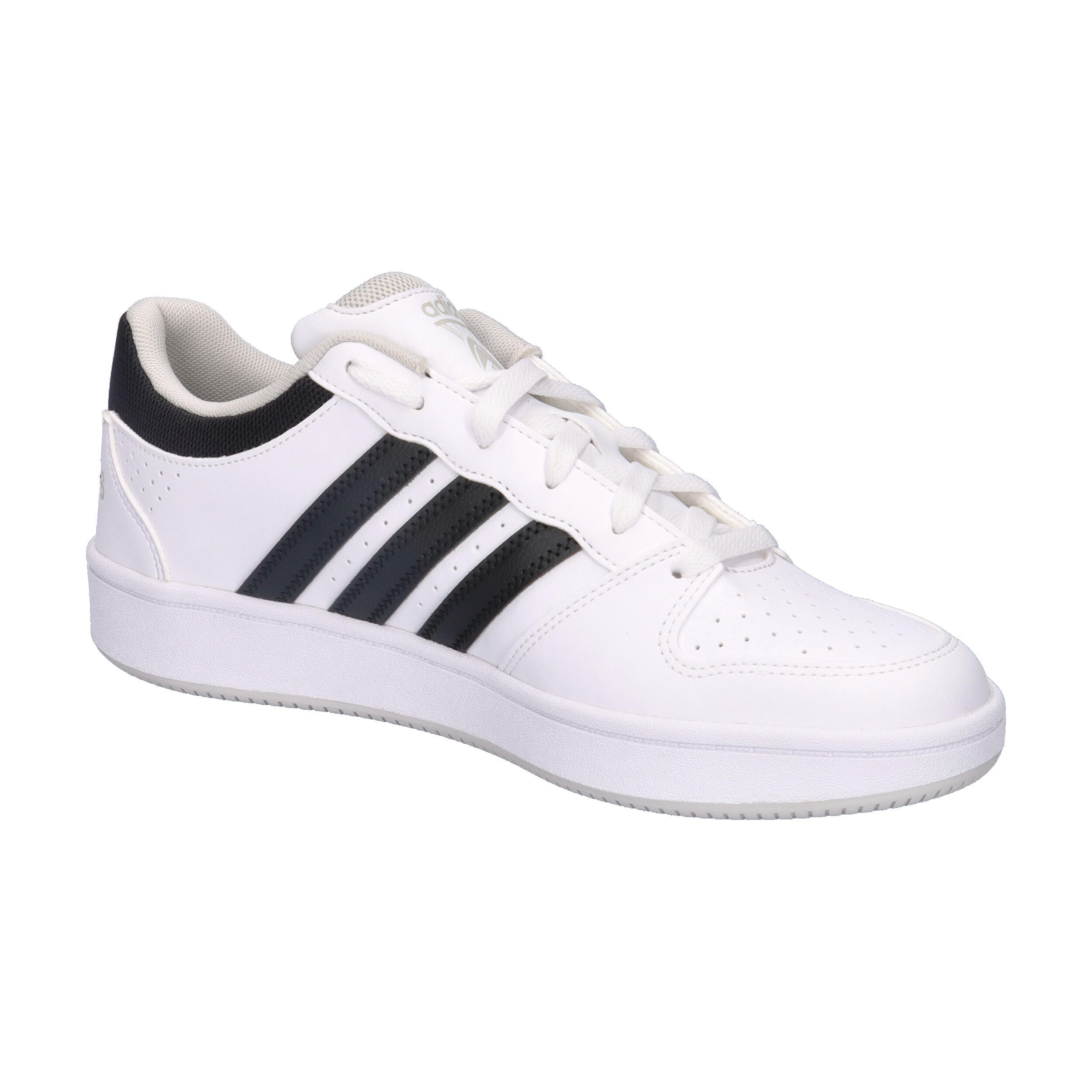 Baskets adidas Hoops Classic 8/14