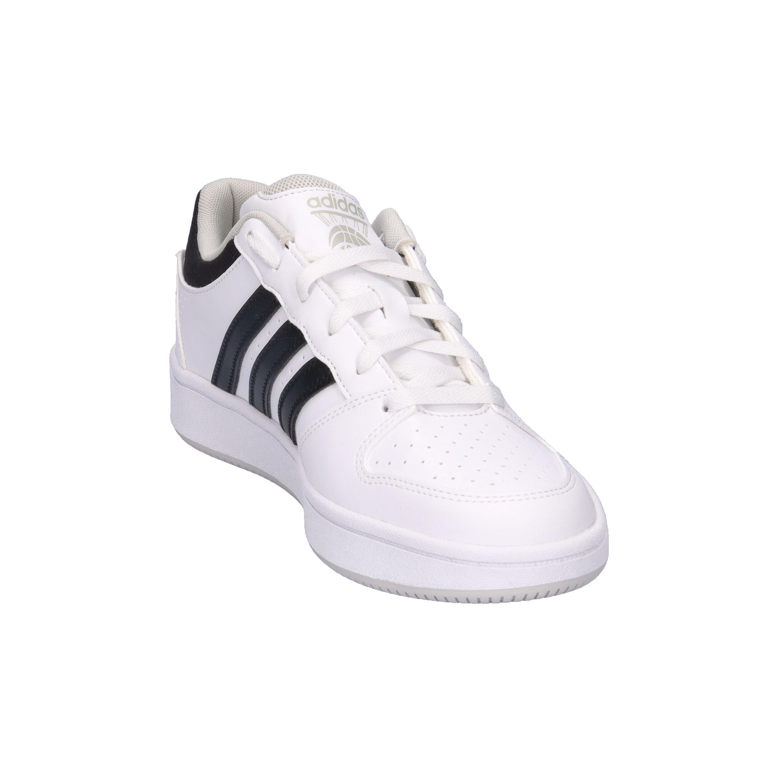 Baskets adidas Hoops Classic 2/14