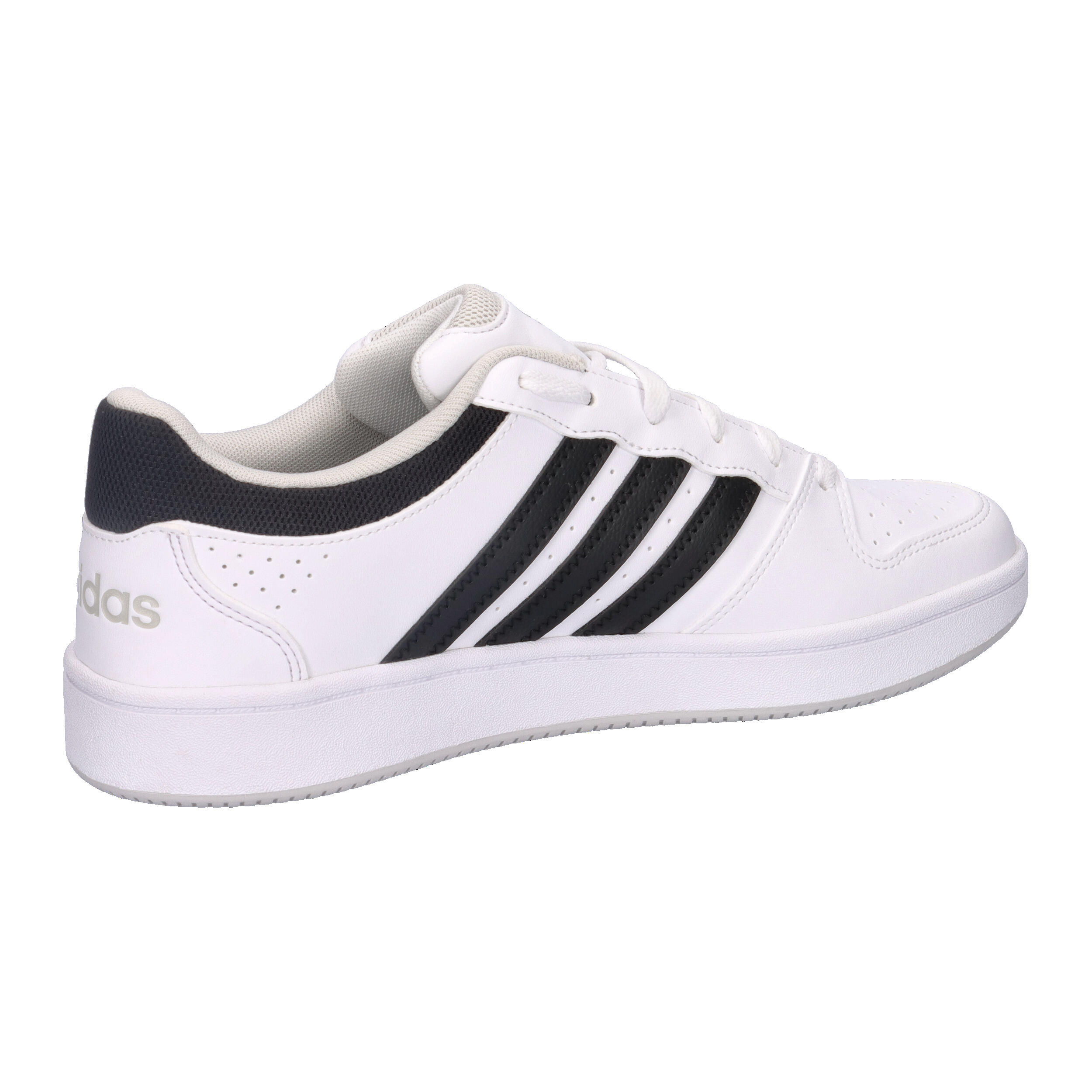 Baskets adidas Hoops Classic 14/14