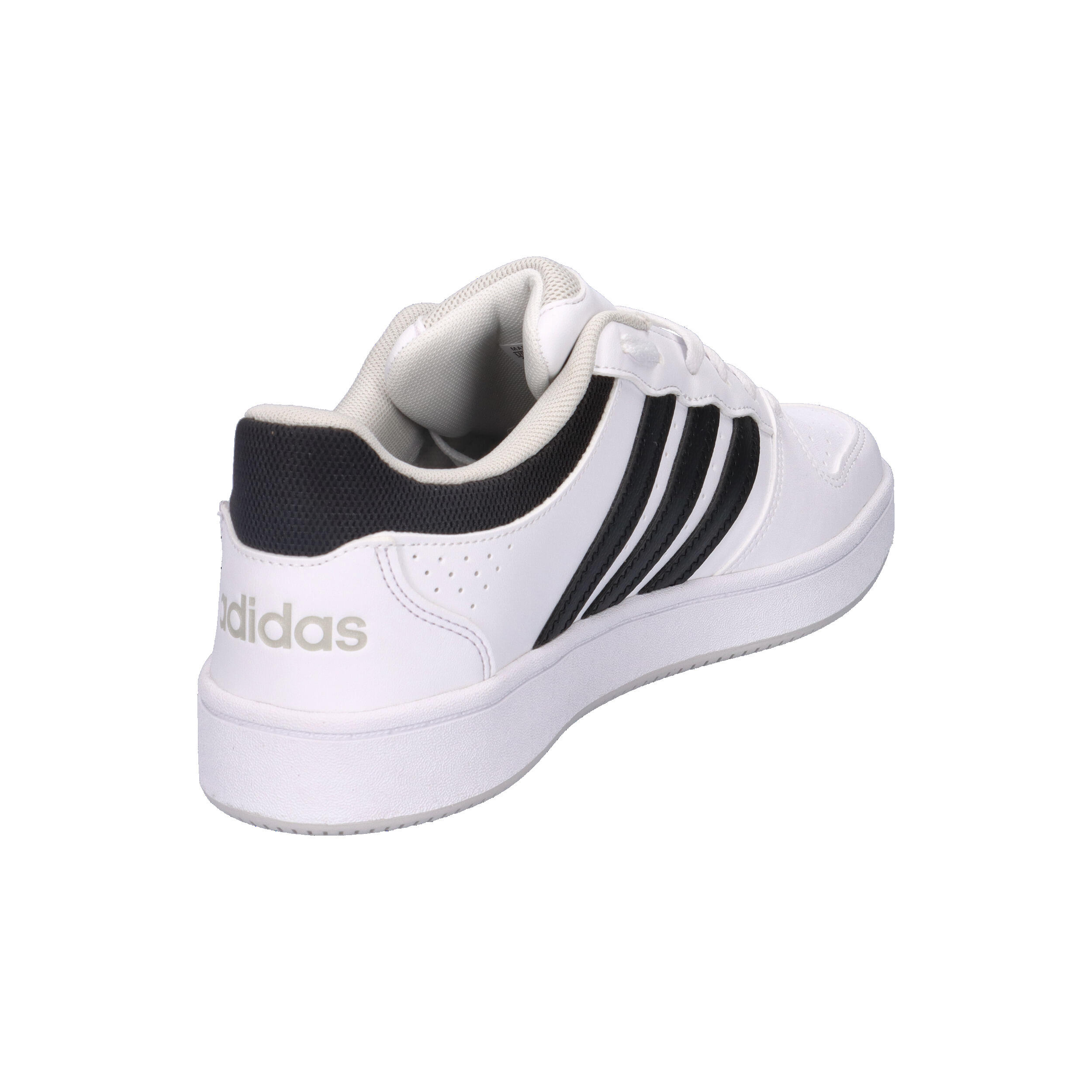 Baskets adidas Hoops Classic 13/14