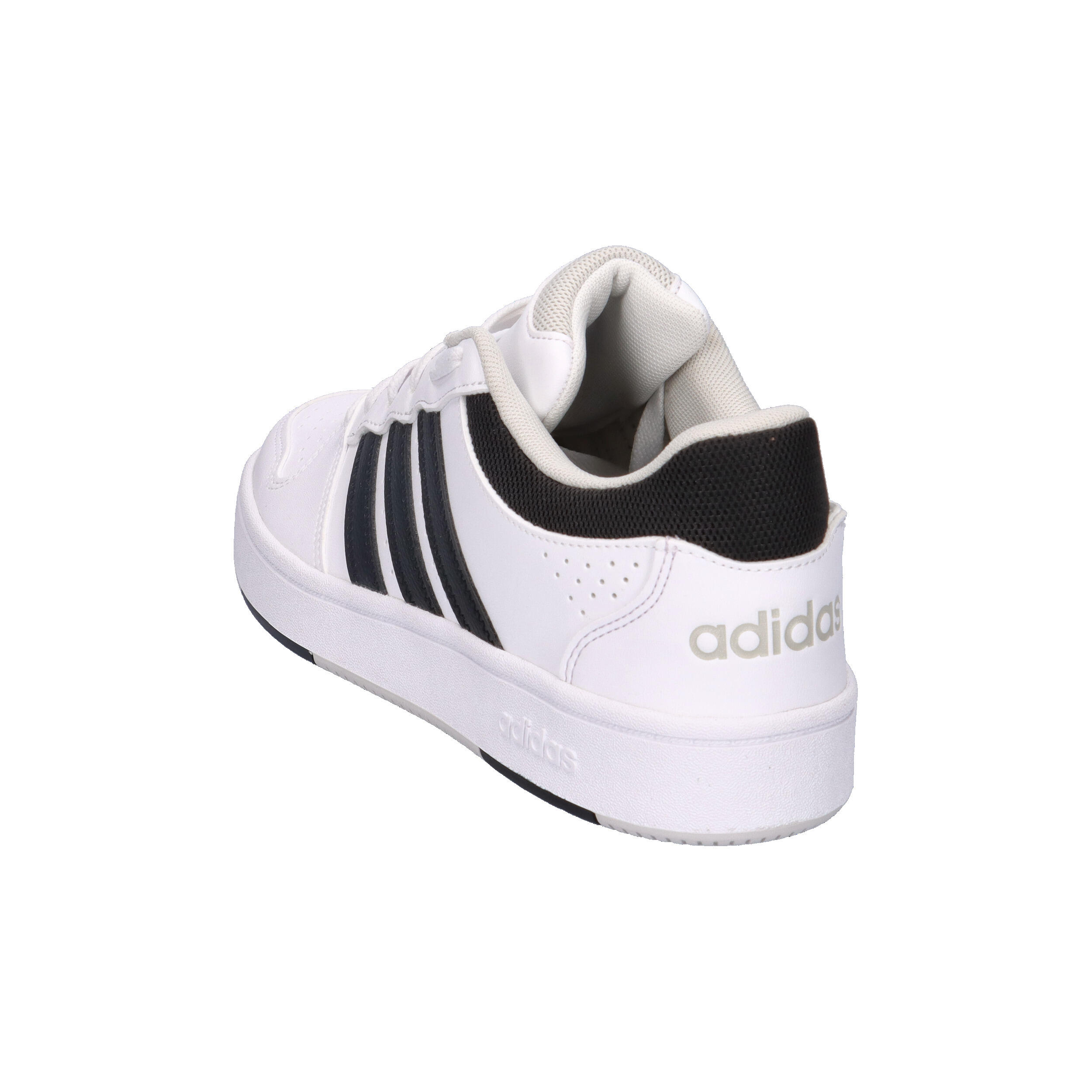 Baskets adidas Hoops Classic 11/14