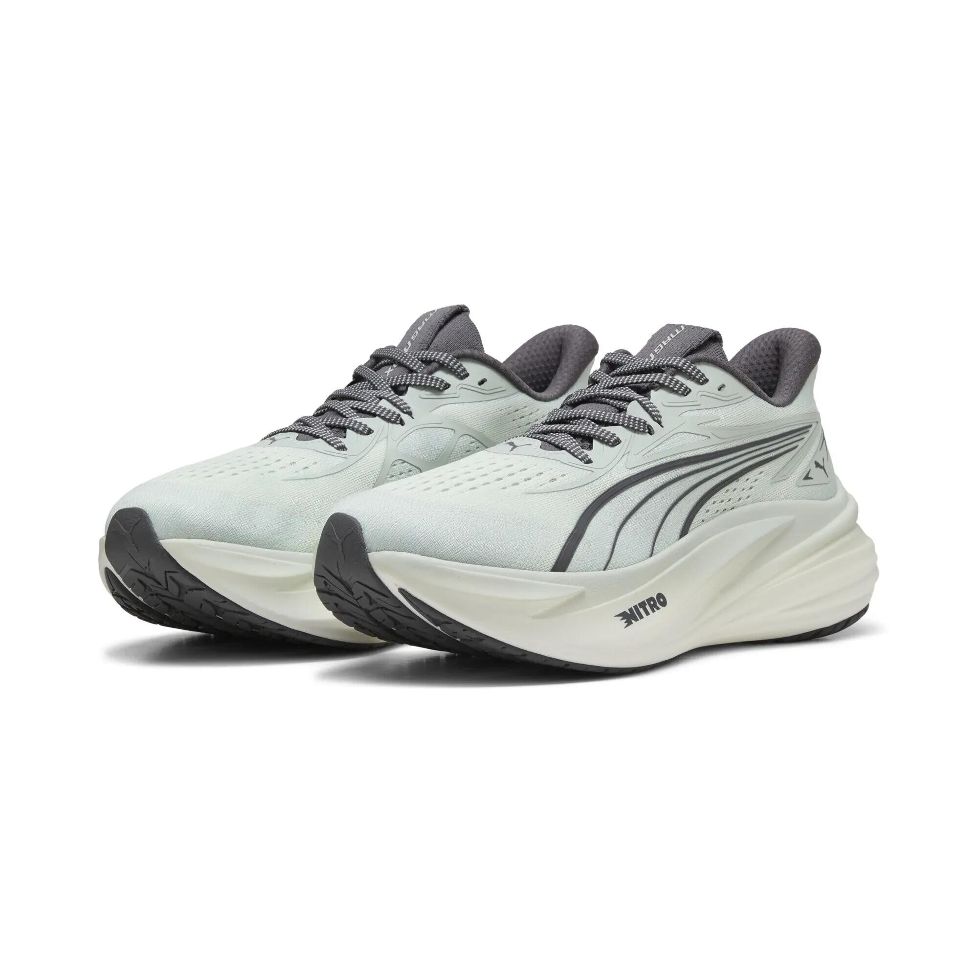 PUMA picture
