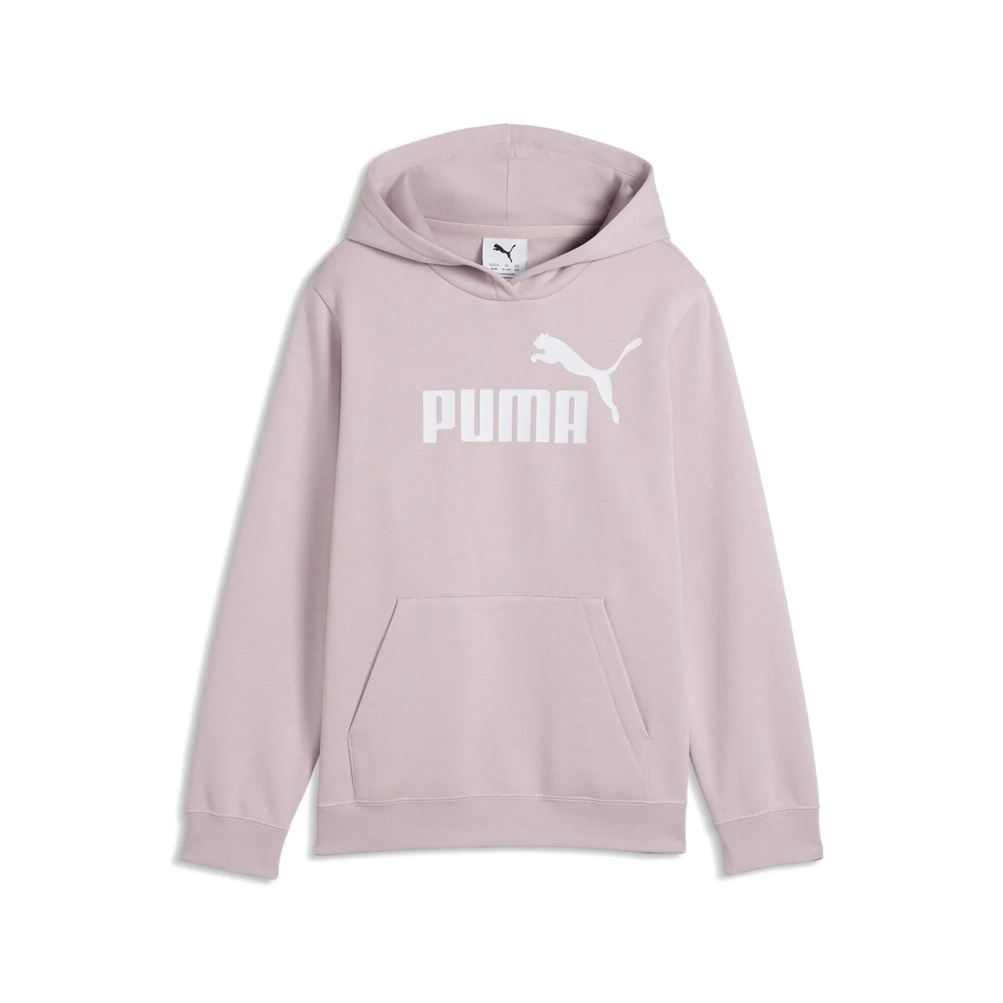 PUMA picture