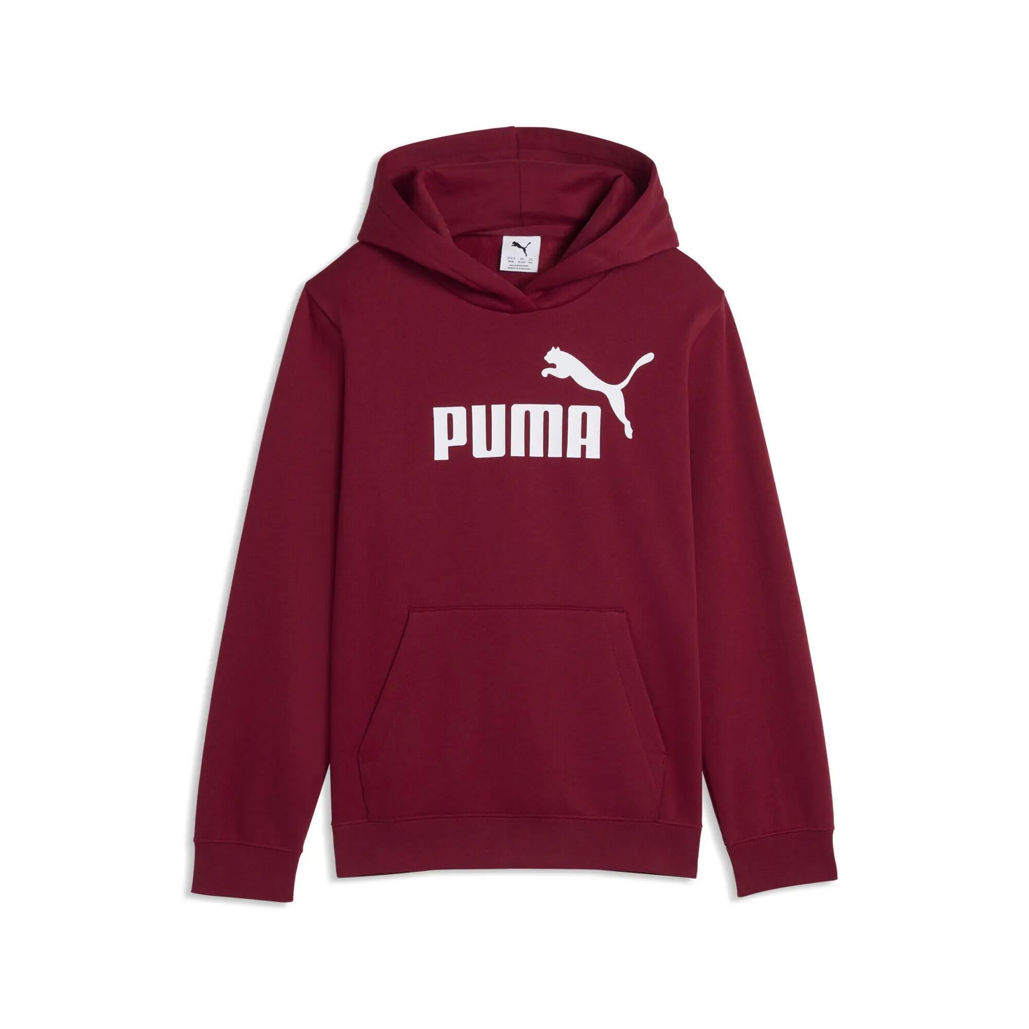 PUMA picture