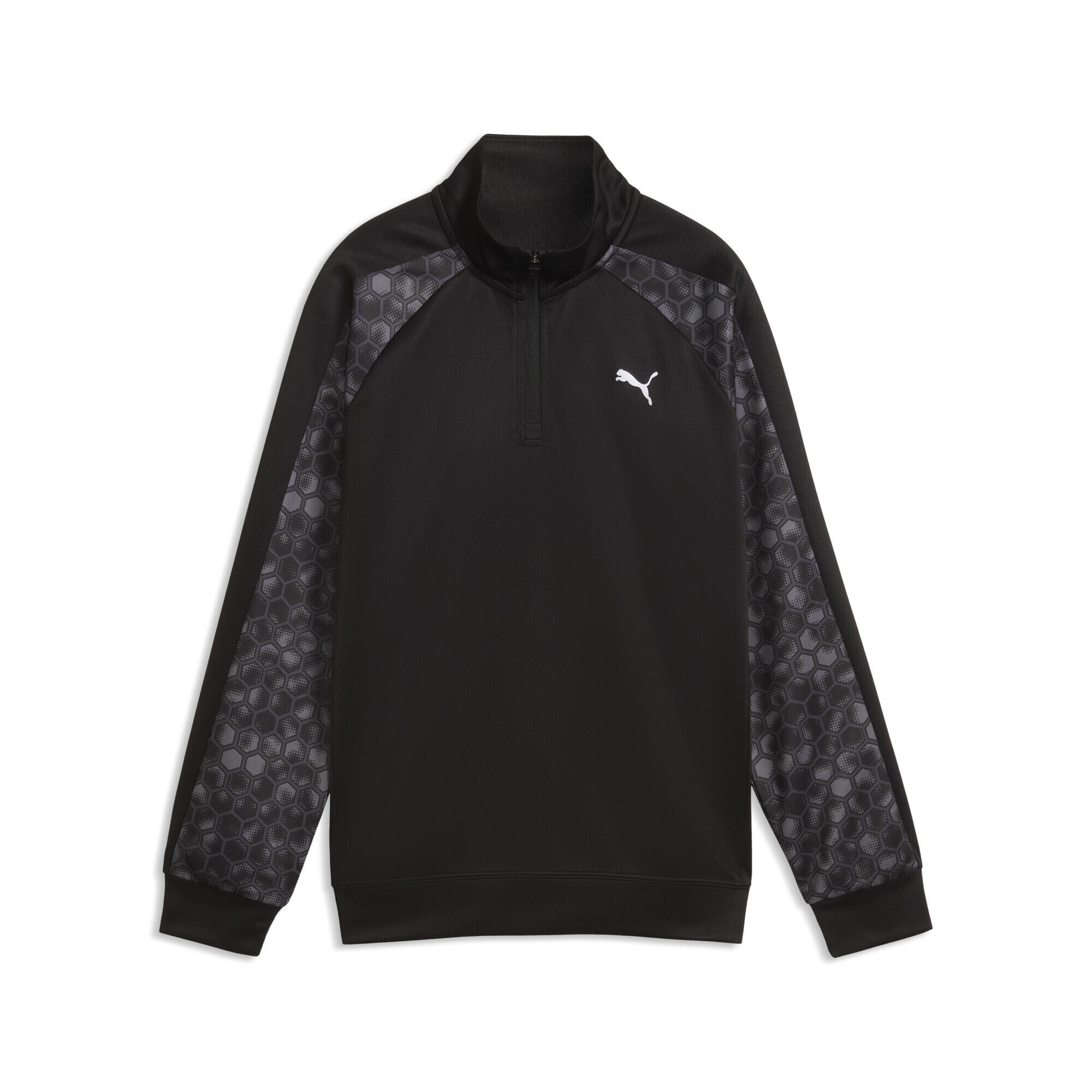 PUMA picture