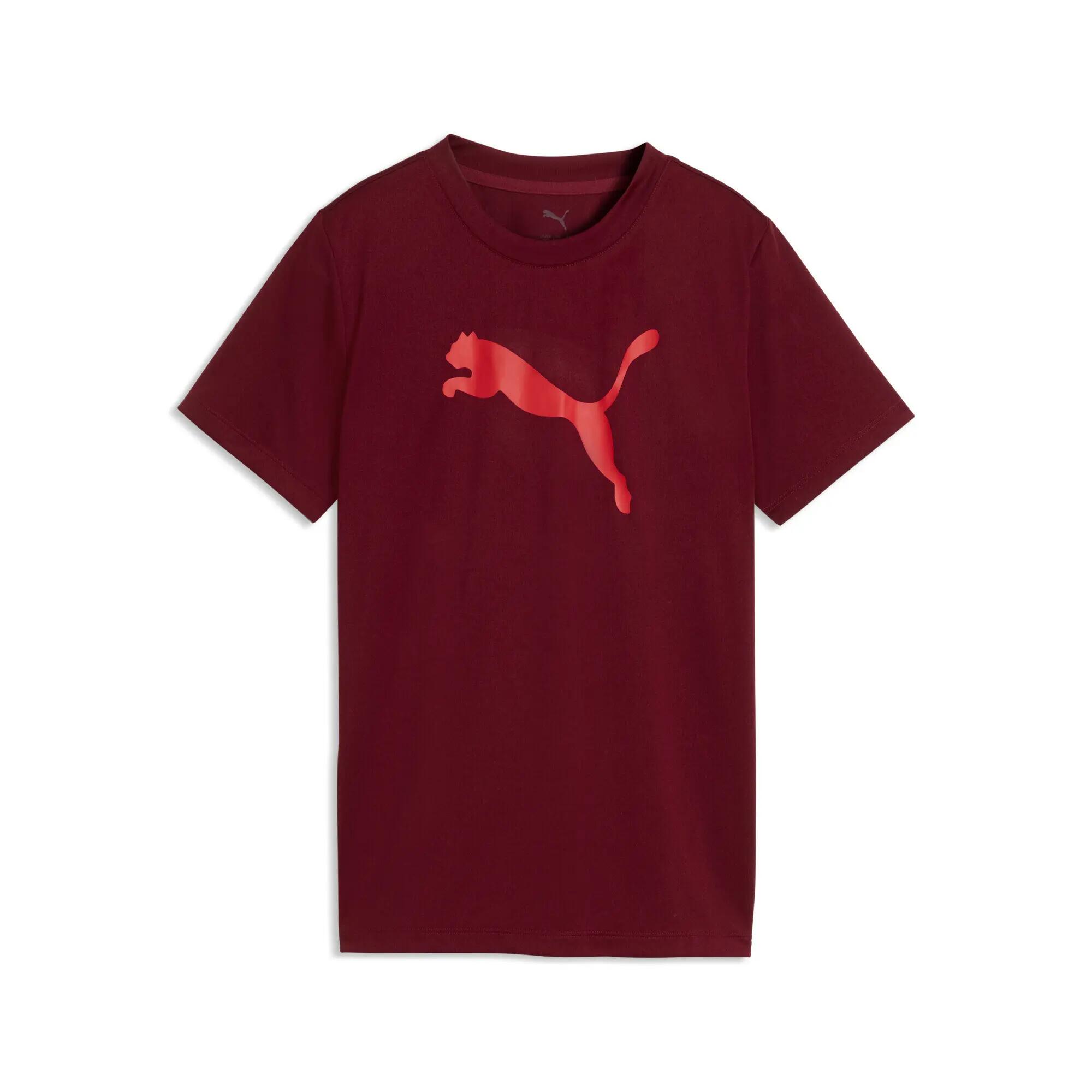 PUMA picture
