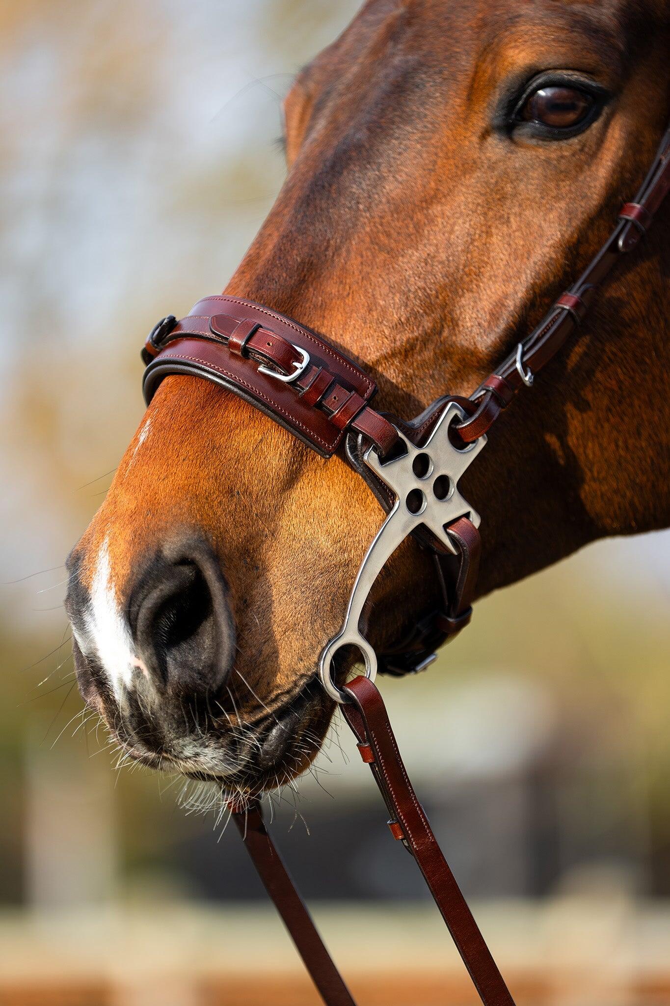 Br Hackamore Hoofdstel Thornbury  - 3/5