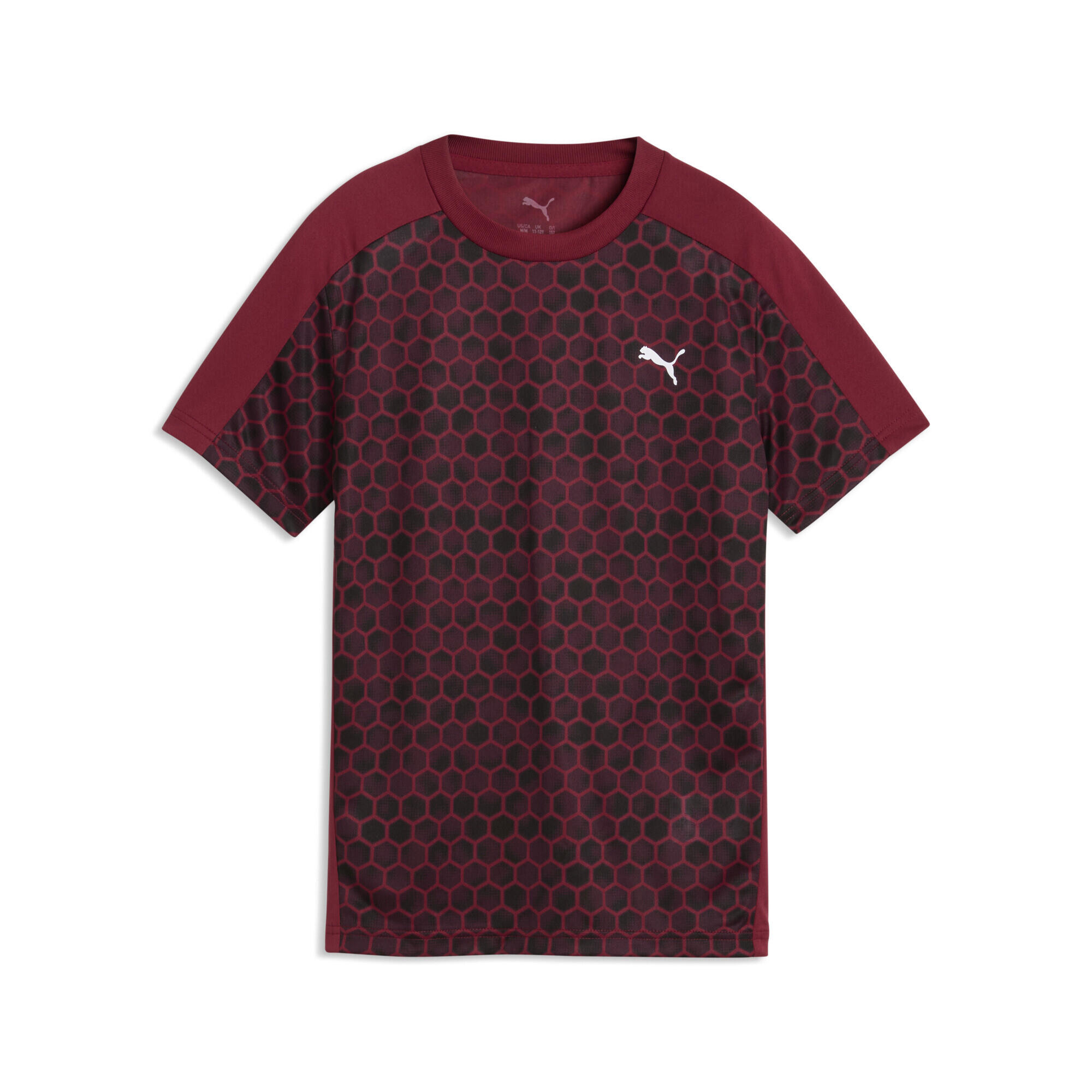 PUMA picture
