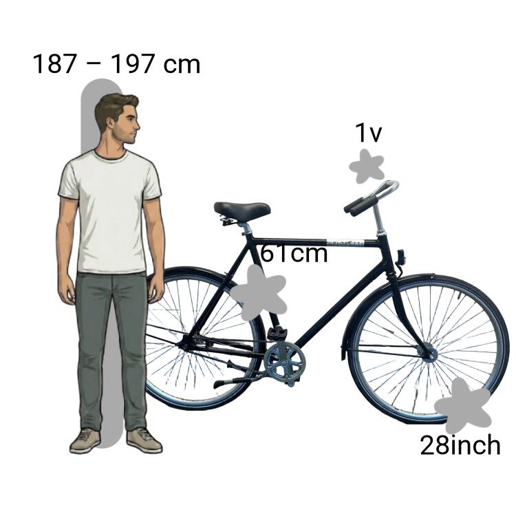Bicicletta usata Veloretti 2/4