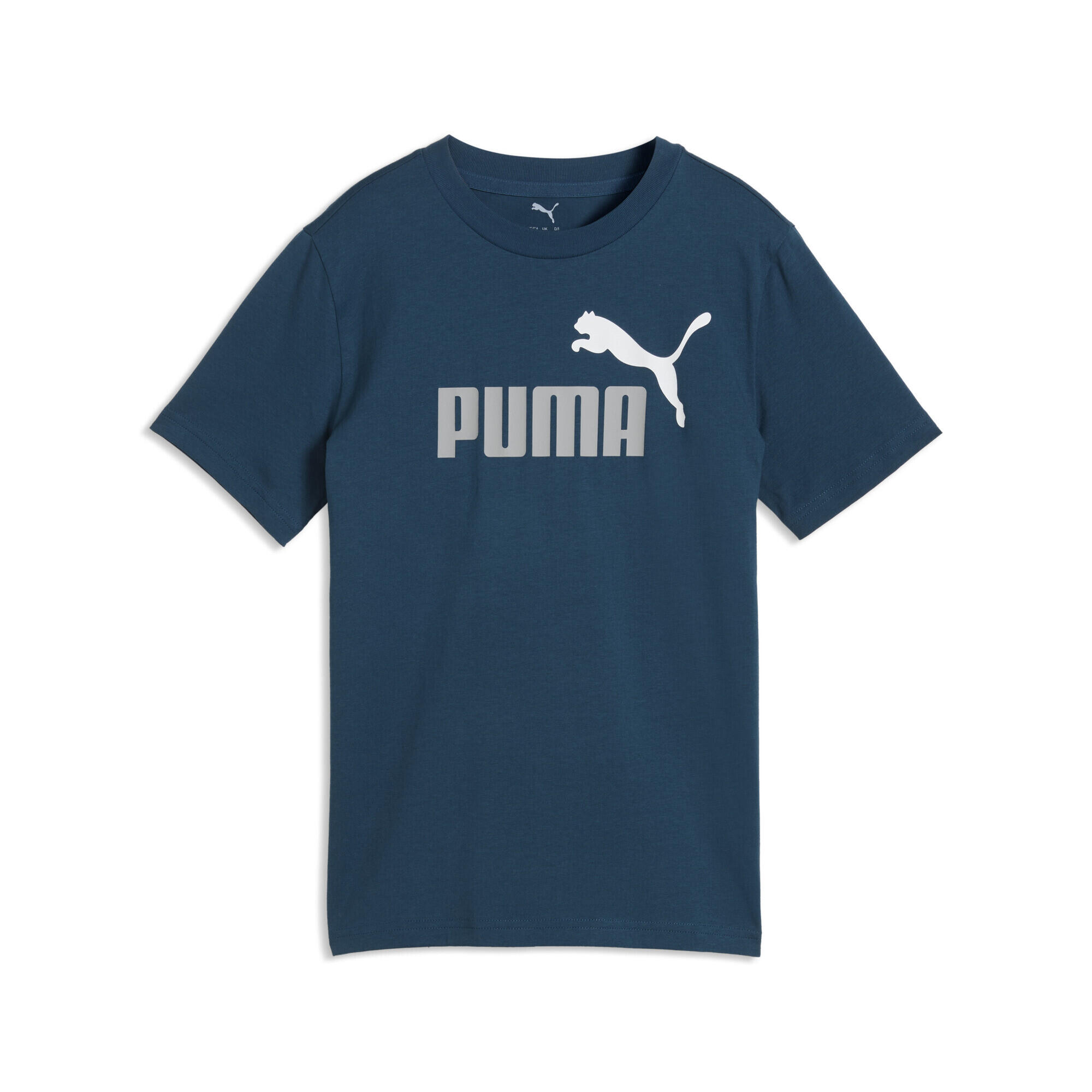 PUMA picture