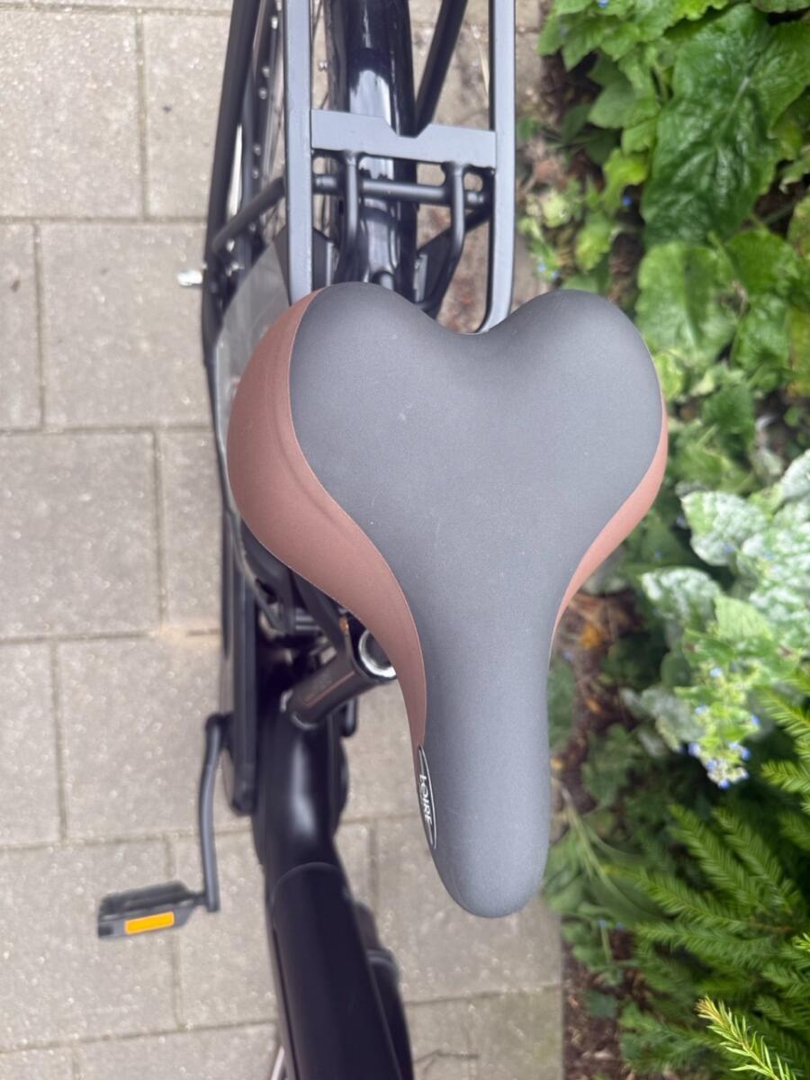 Gazelle Grenoble 400Wh, Shimano Nexus shifter, Hydraulic brakes, Bosch Active 4/7
