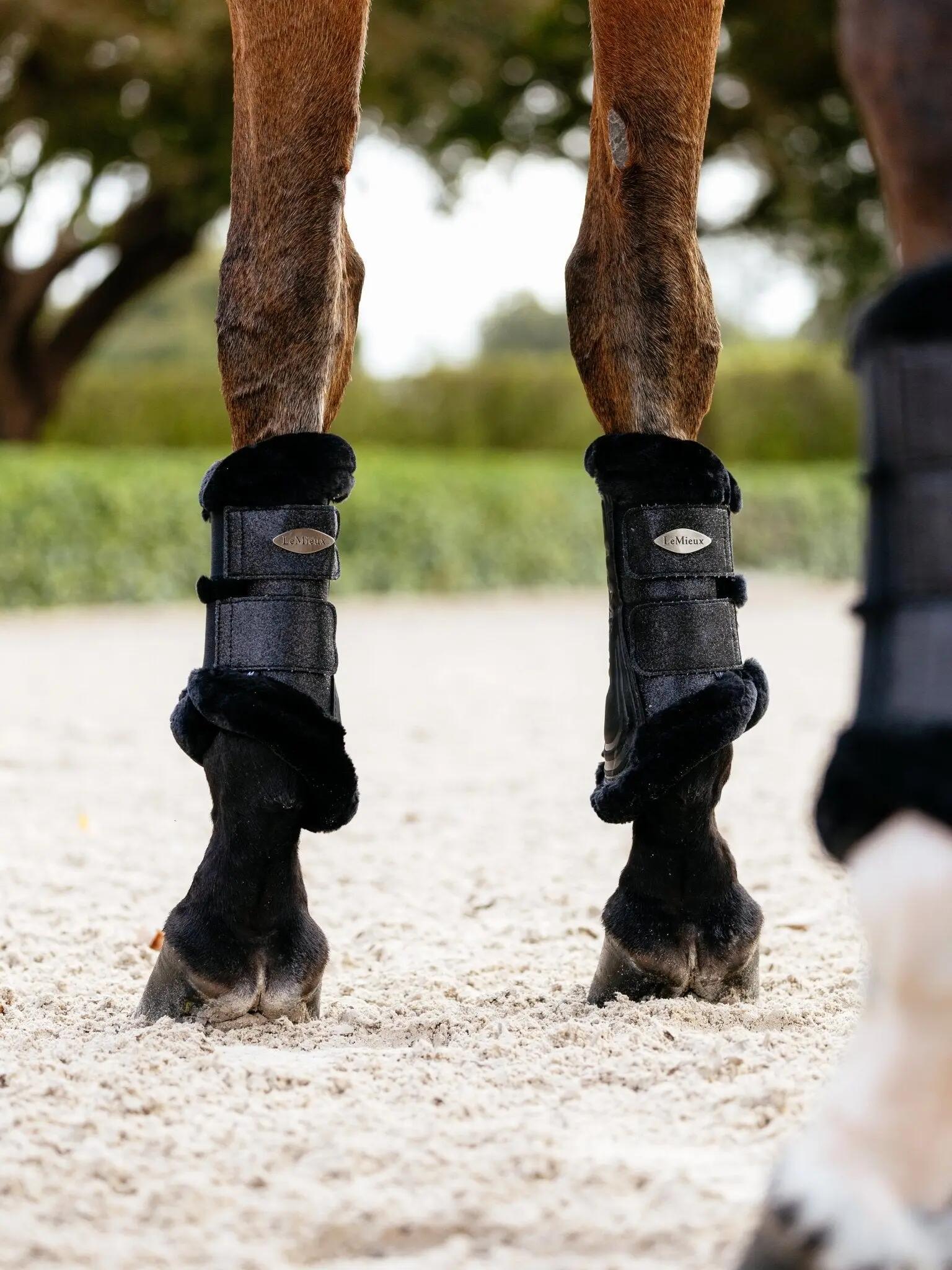 Lemieux Brilliance Fleece Edged Brushing Boot Zwart - 6/7