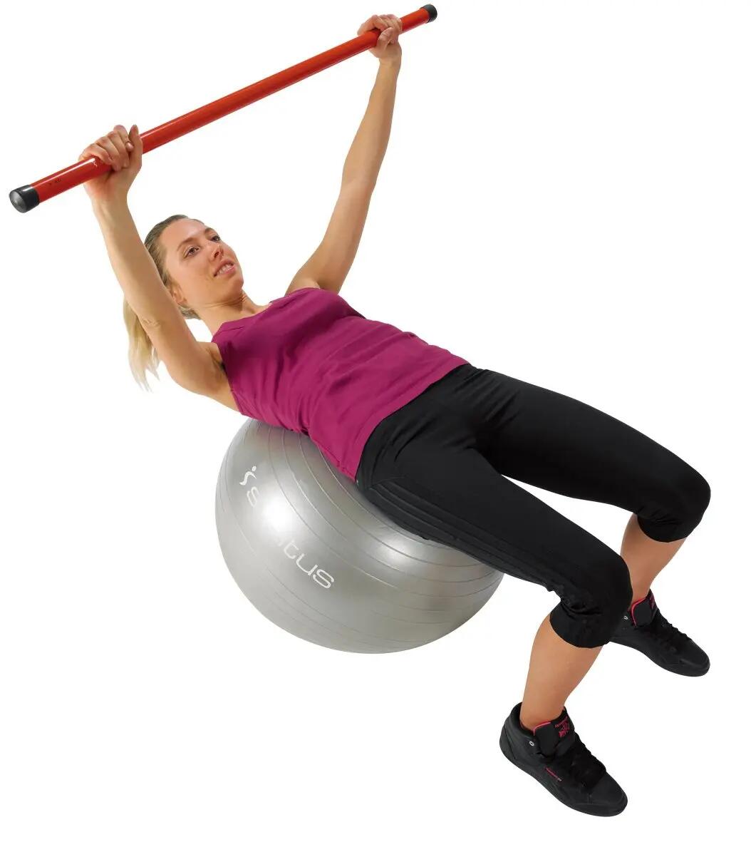 Gymball gris O65 cm bte 2/3