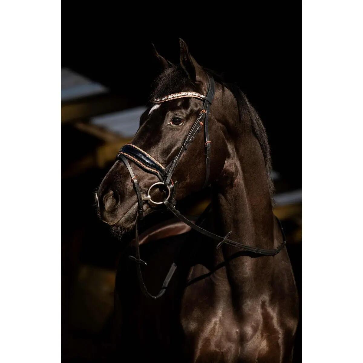 Hb Showtime Copper Sky Trenshoofdstel Zwart - 4/4