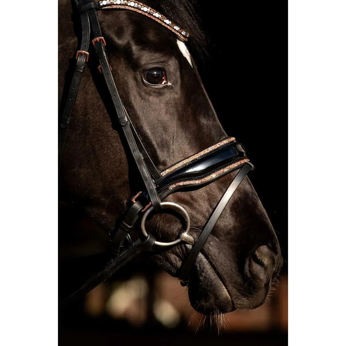 Hb Showtime Copper Sky Trenshoofdstel Zwart - 3/4