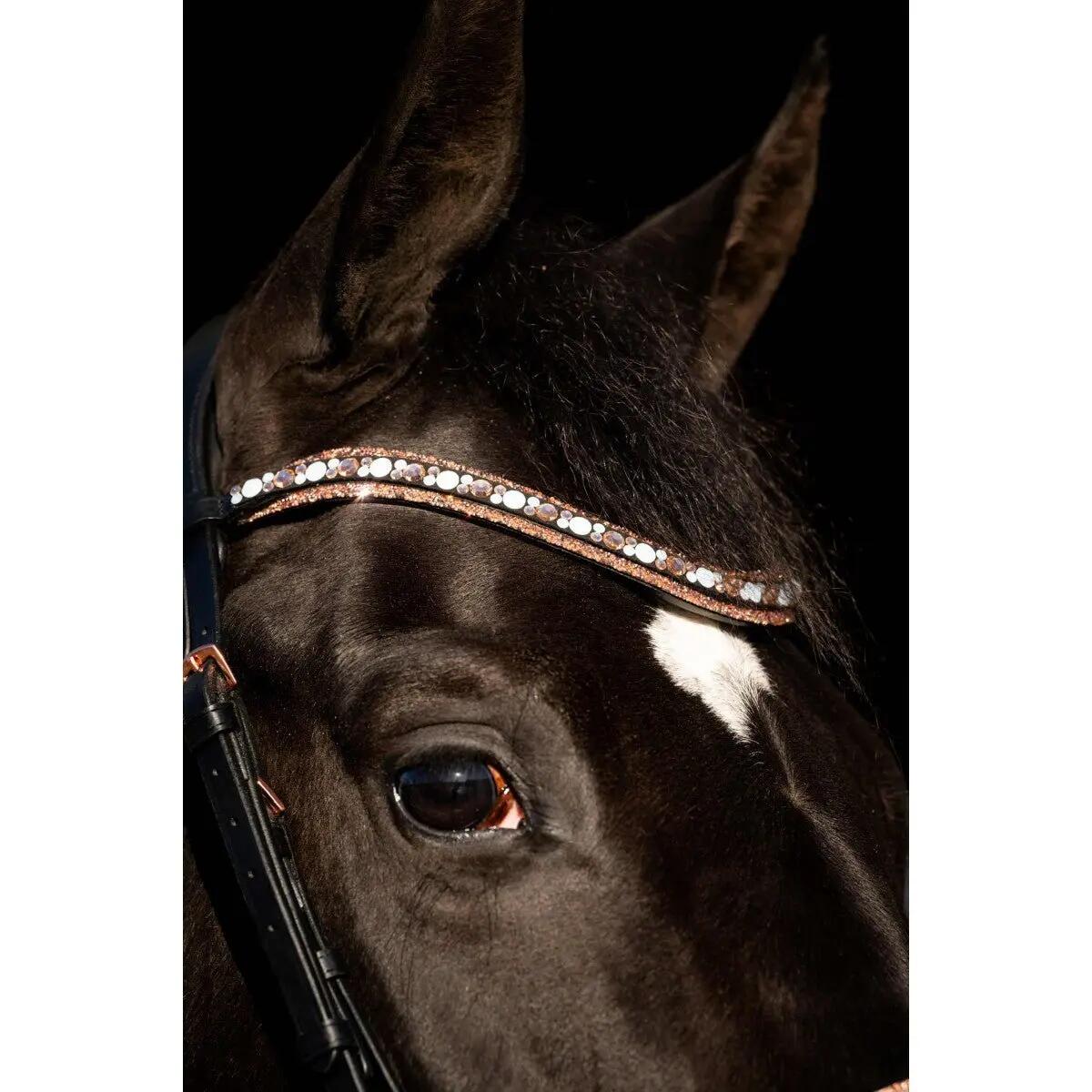 Hb Showtime Copper Sky Trenshoofdstel Zwart - 2/4
