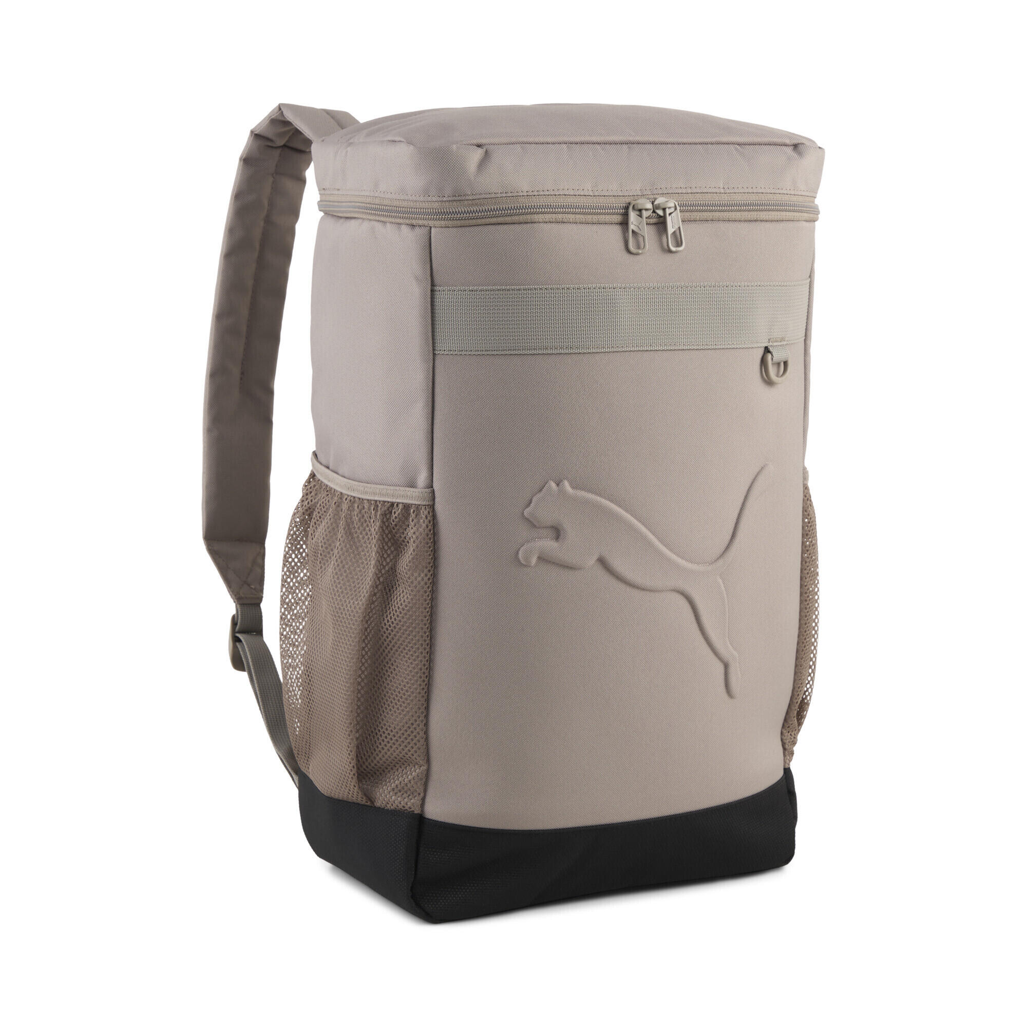 PUMA picture