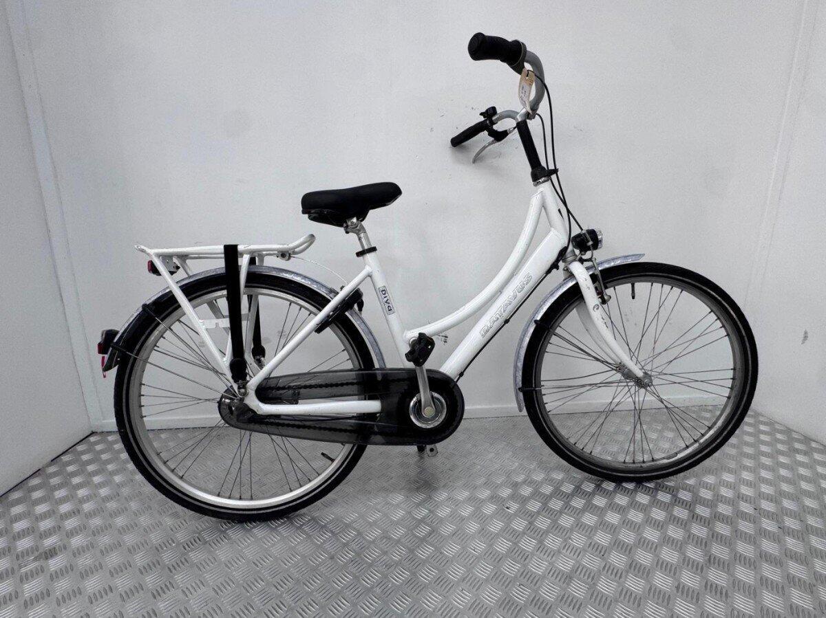 BATAVUS picture