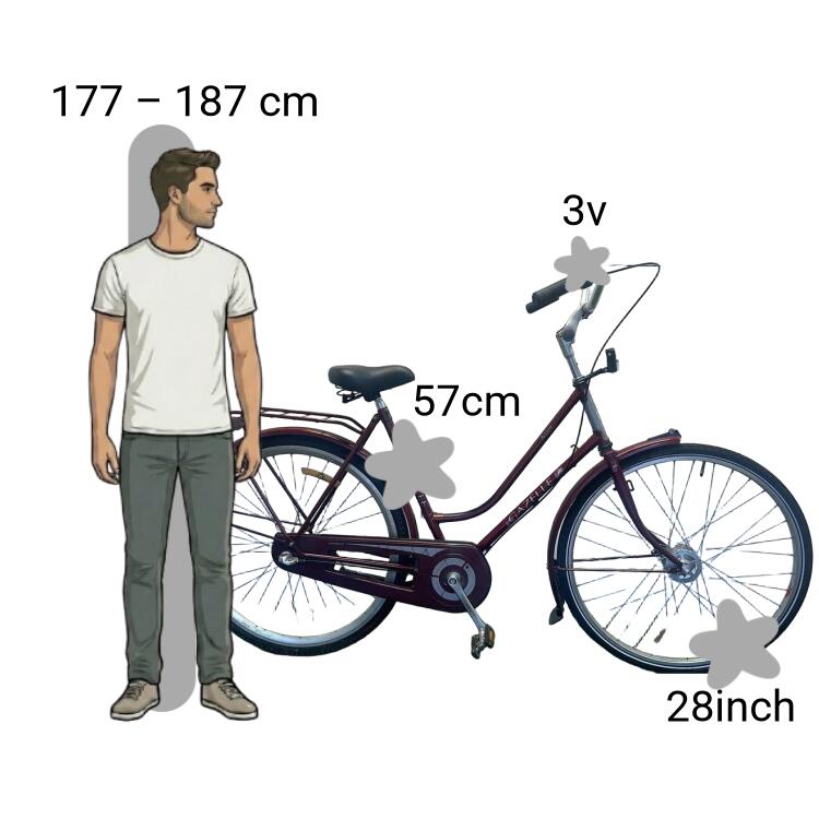 Gebraucht Gazelle Accent 2/4